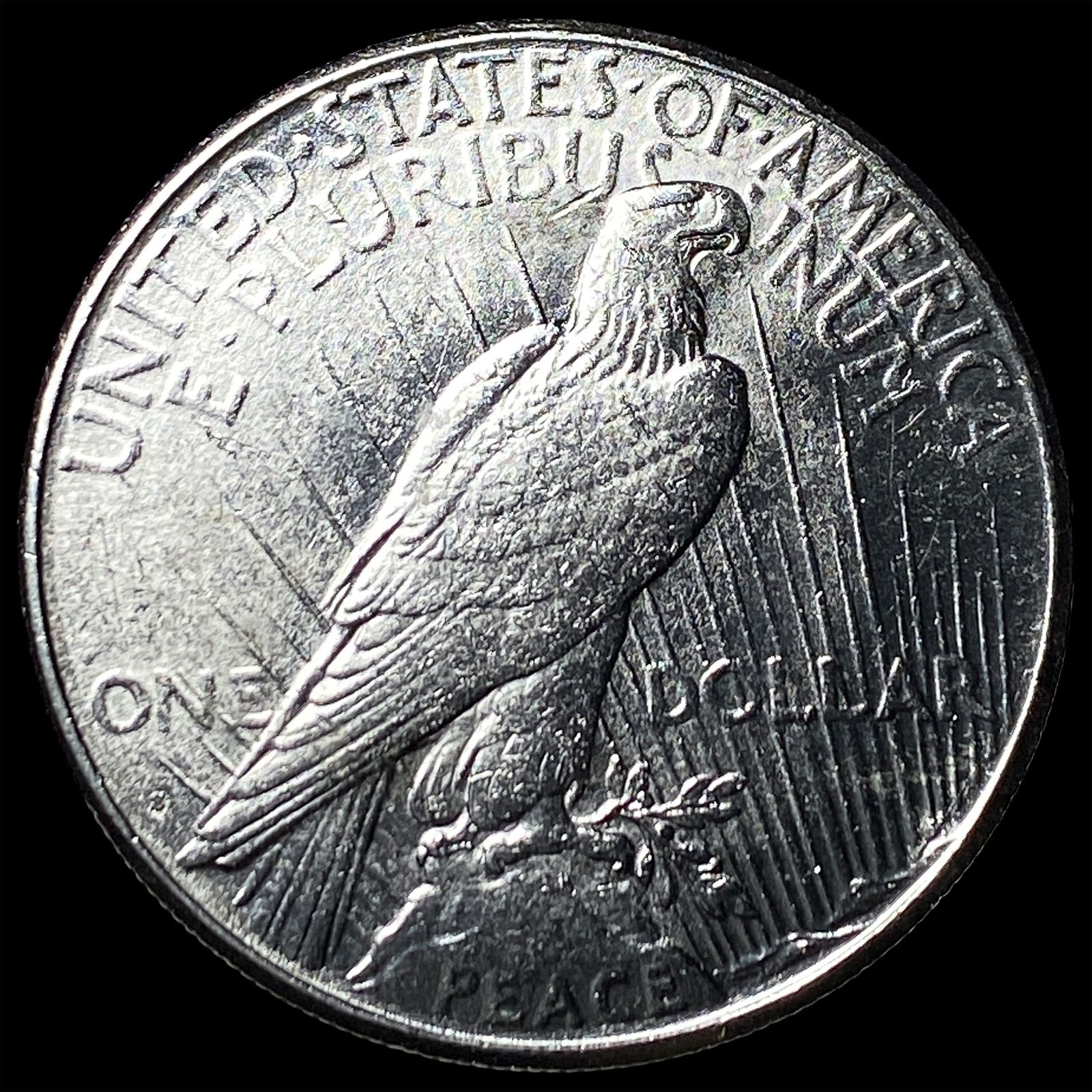 1925 Peace Silver Dollar UNCIRCULATED - 2