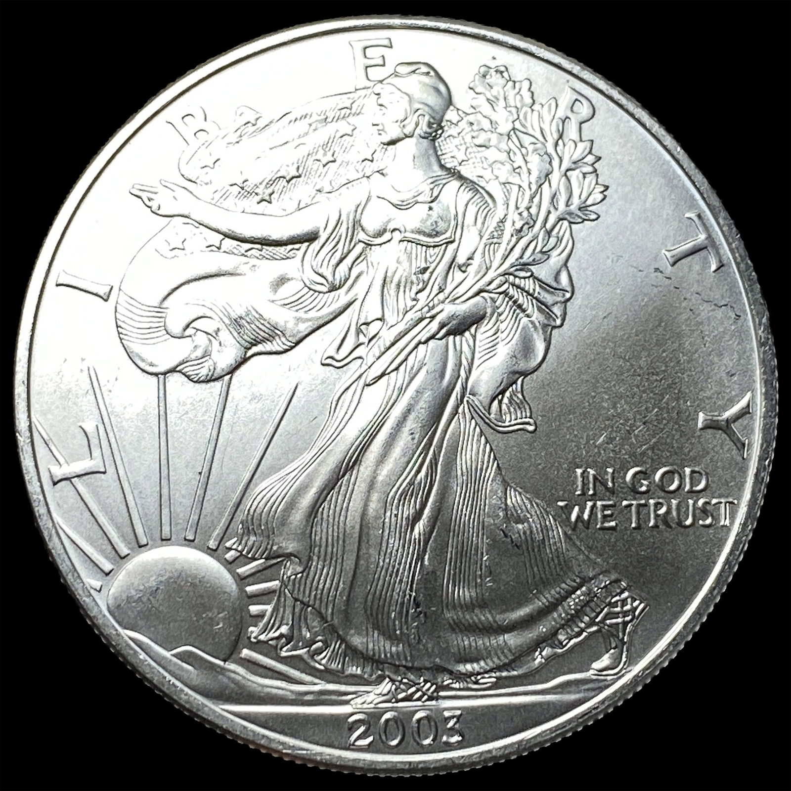2003 Silver American Eagle $1 SUPERB GEM BU (1 of 2)