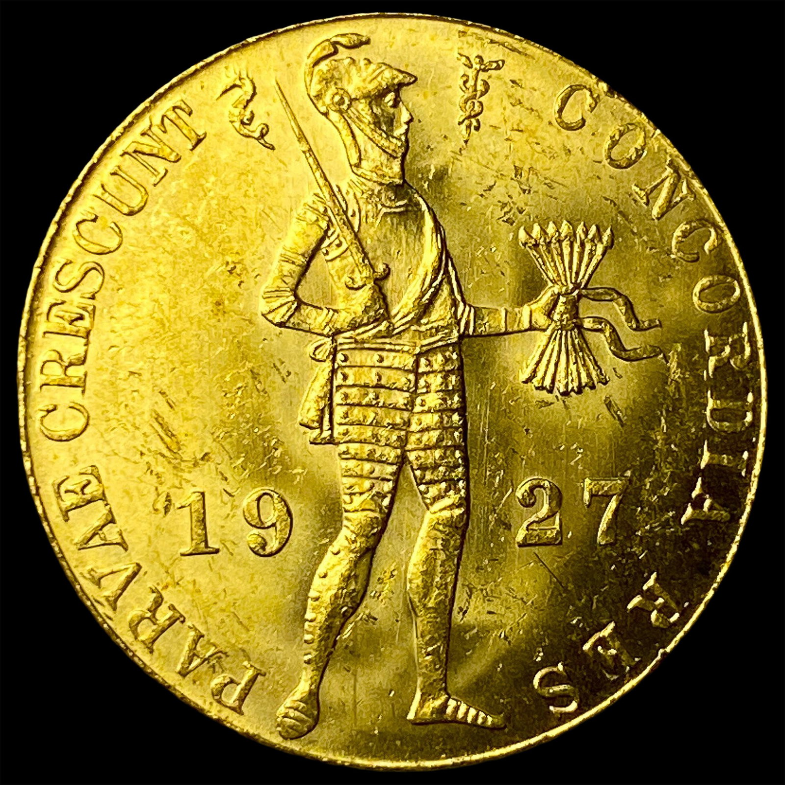 1927 Netherlands Gold 10 Ducat UNCIRCULATED (1 of 2)