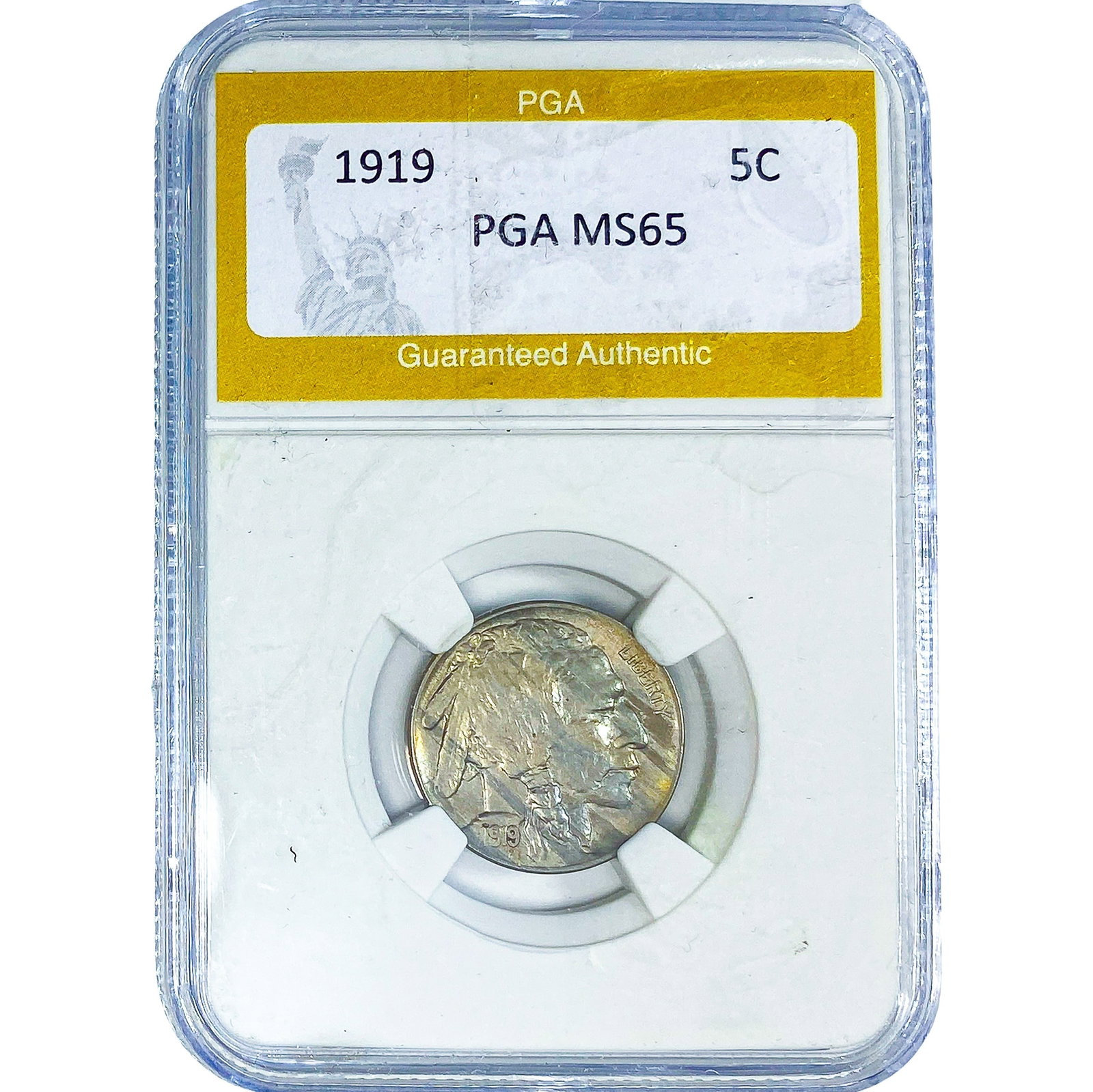 1919 Buffalo Nickel PGA MS65: 1919 Buffalo Nickel PGA MS65