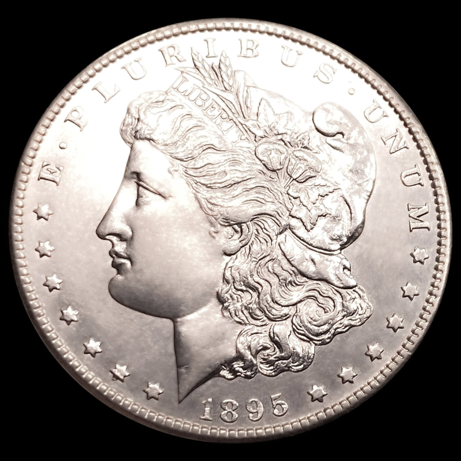 1895-S Morgan Silver Dollar (1 of 2)