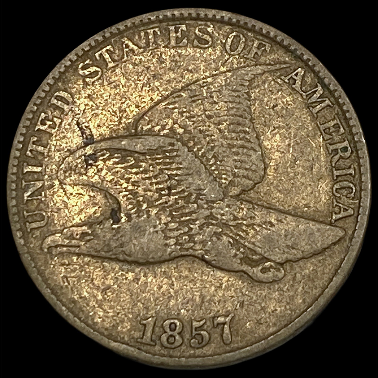 1857 Flying Eagle Cent NEARLY UNCIRCULATED: 1857 Flying Eagle Cent NEARLY UNCIRCULATED
