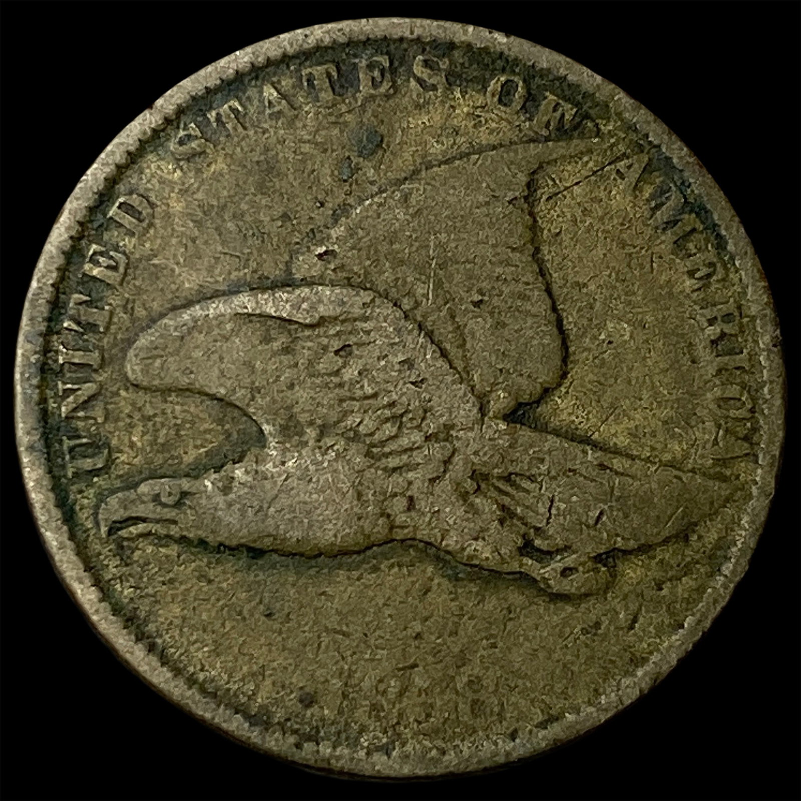 1858 Copper-Nickel Flying Eagle Cent LIGHTLY CIRCULATED: 1858 Copper-Nickel Flying Eagle Cent LIGHTLY CIRCULATED