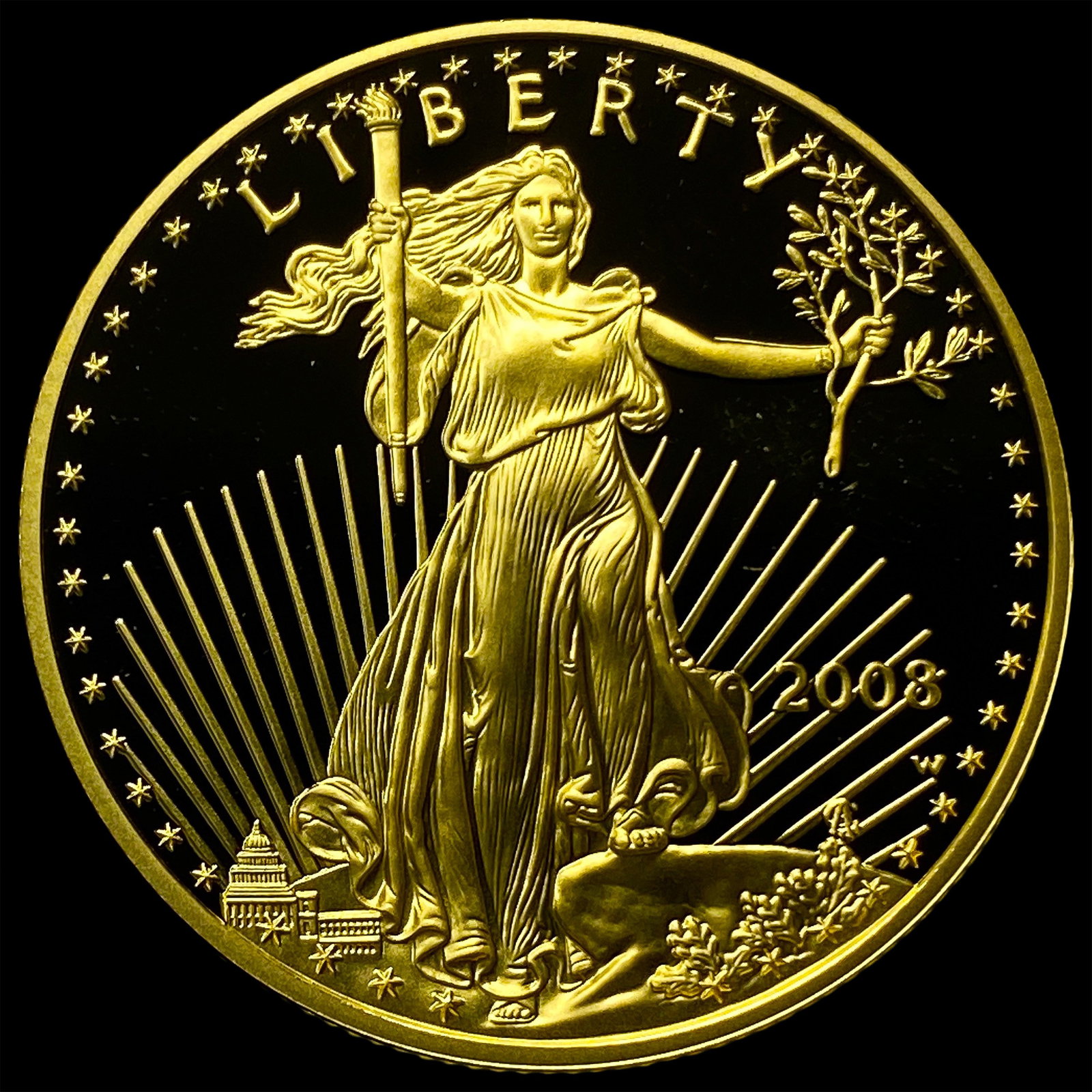 2008-W Gold 1/2 oz American Eagle $25 GEM PROOF (1 of 2)