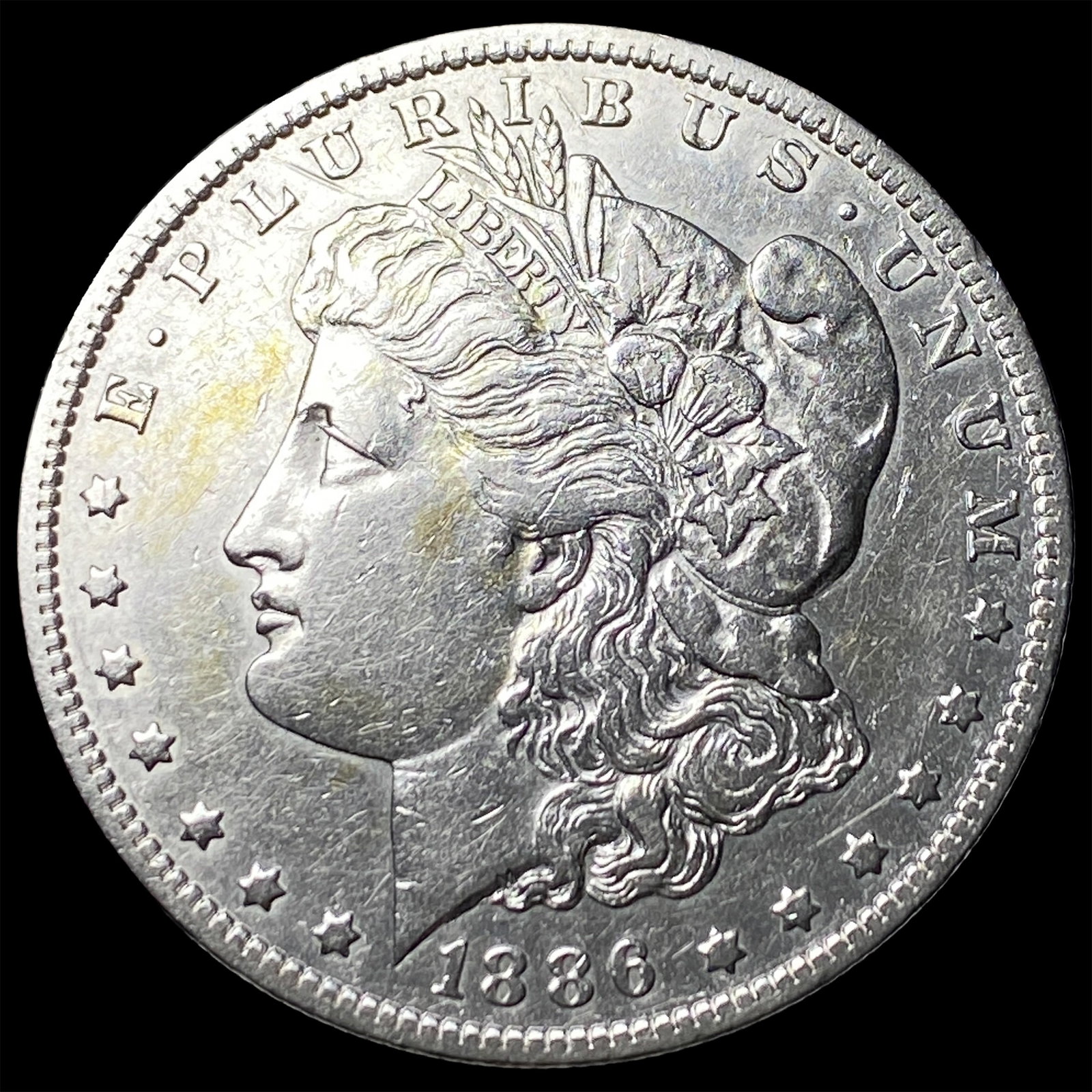 1886 Morgan Silver Dollar CLOSELY UNCIRCULATED (1 of 2)
