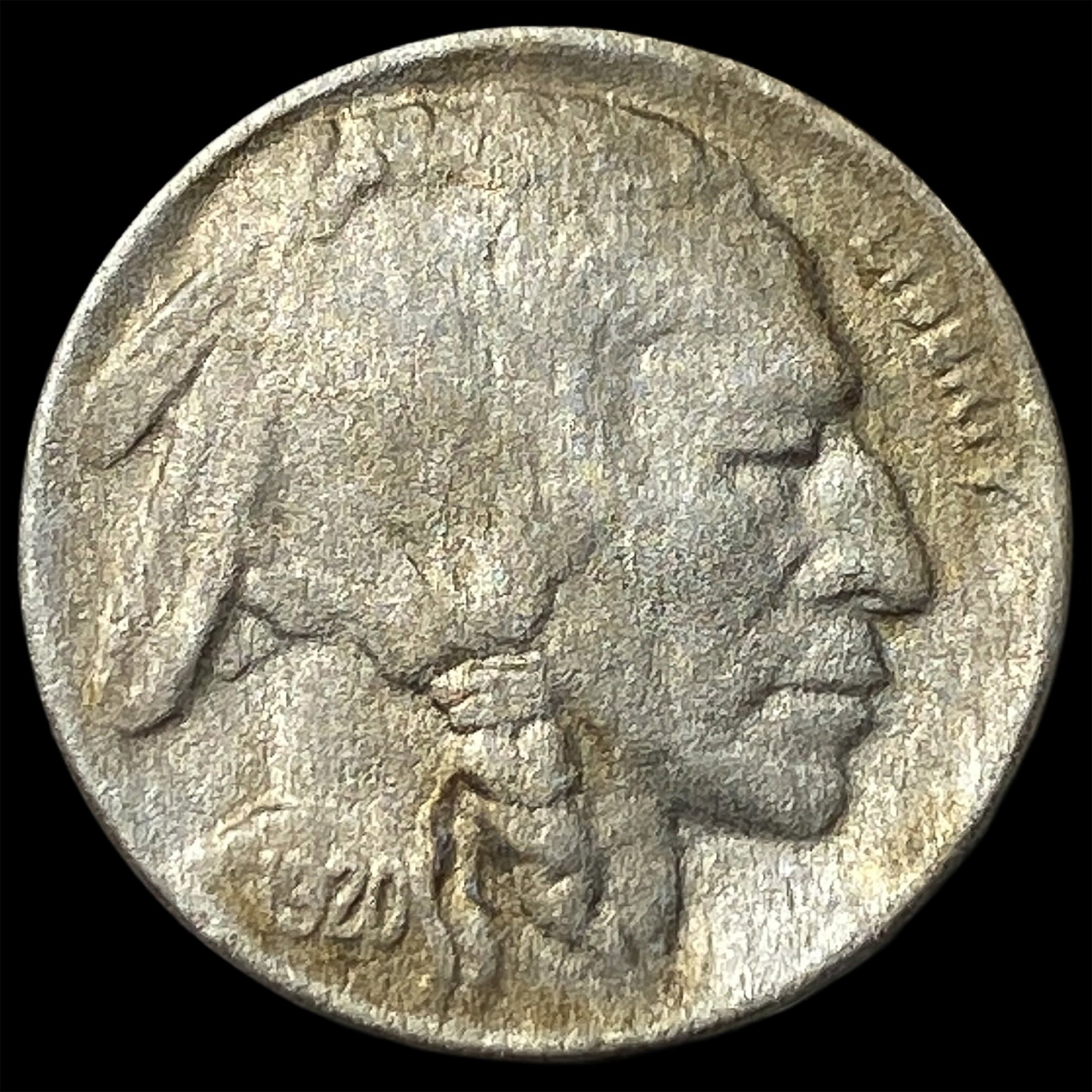 1920 Buffalo Nickel HIGH GRADE: 1920 Buffalo Nickel HIGH GRADE