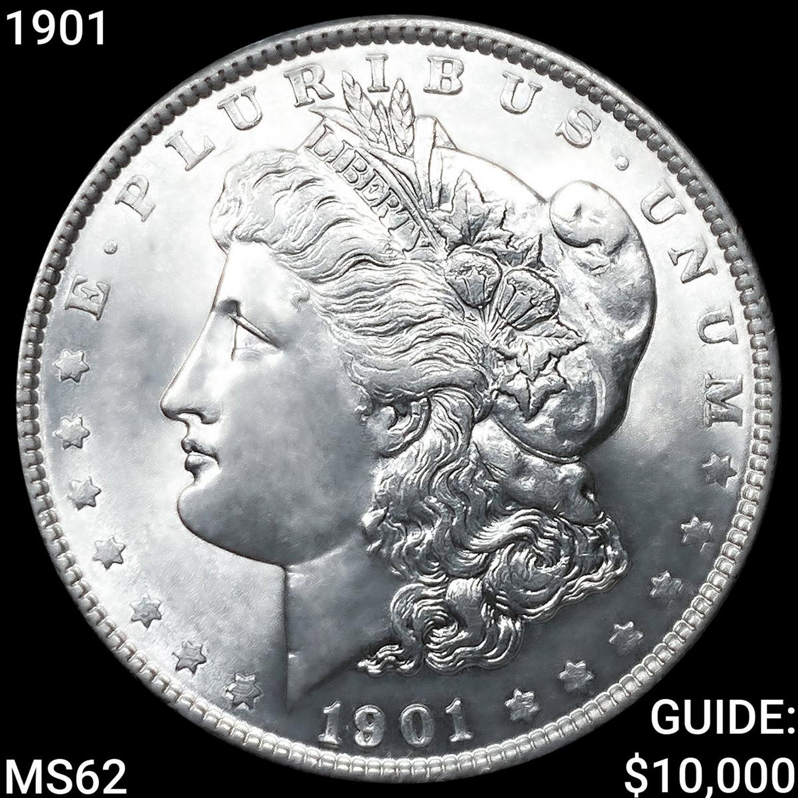 1901 Morgan Silver Dollar (1 of 2)
