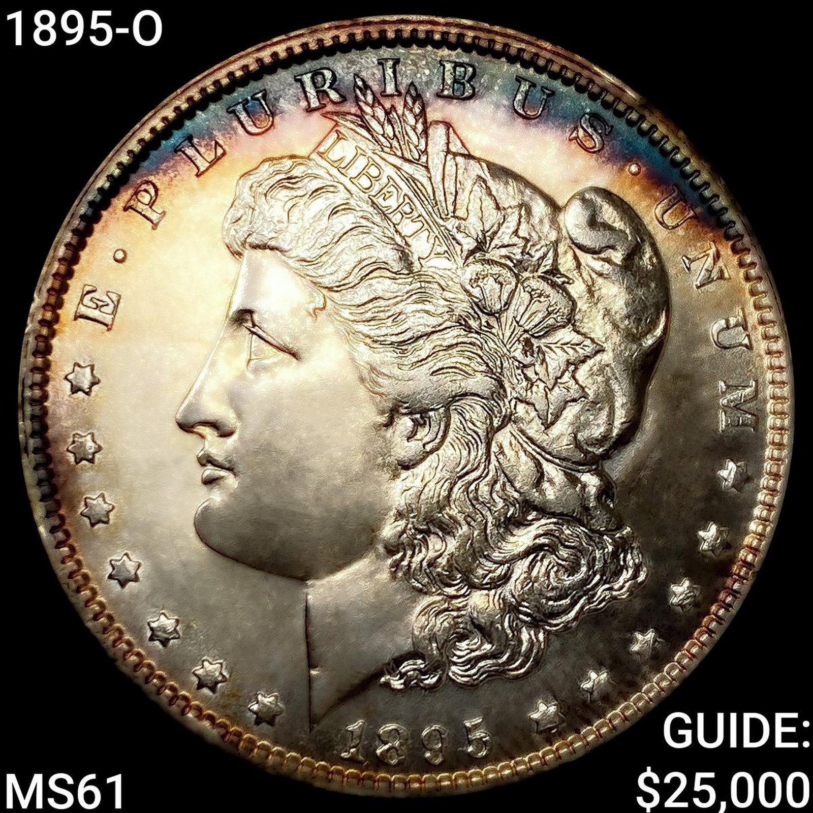 1895-O Morgan Silver Dollar (1 of 2)