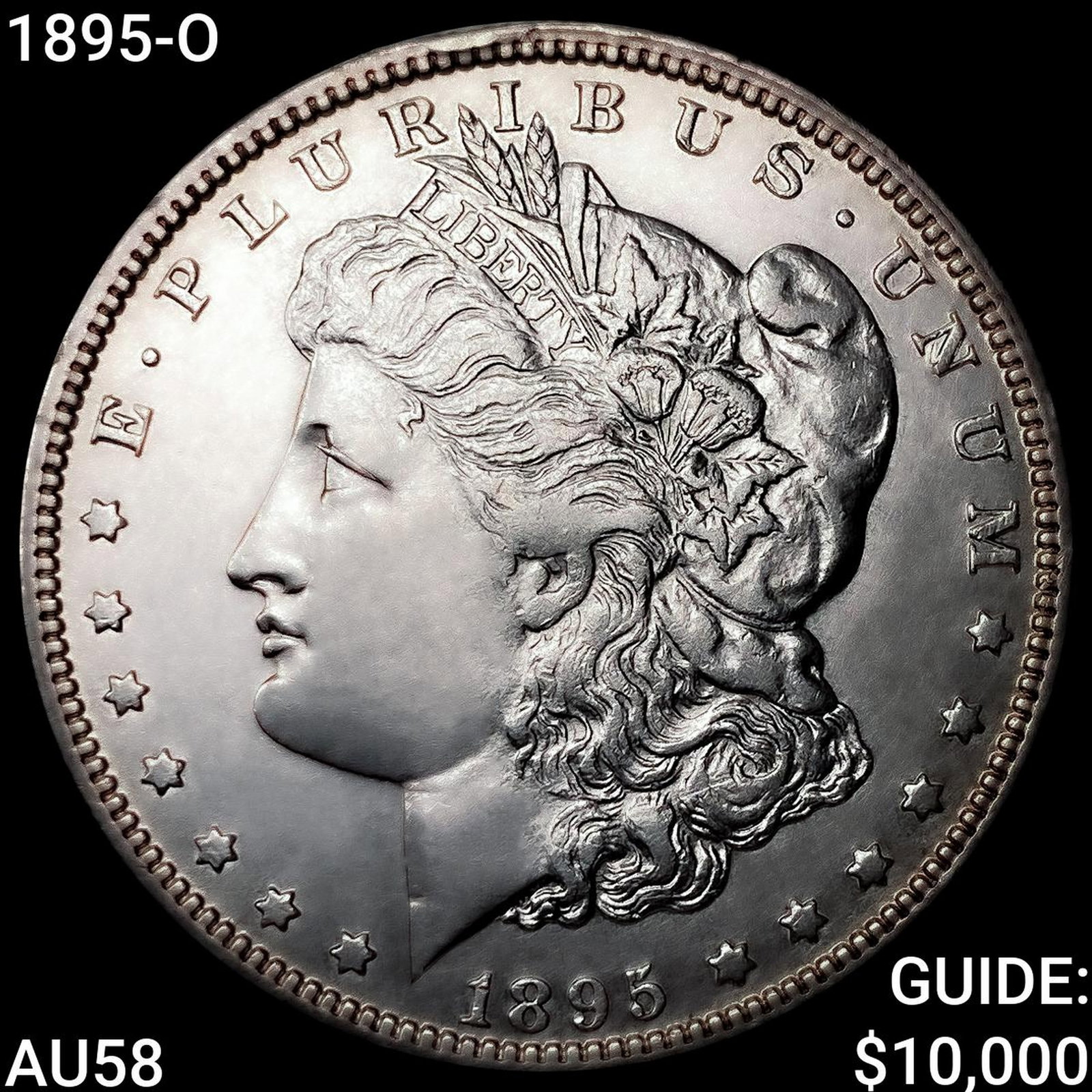 1895-O Morgan Silver Dollar (1 of 2)