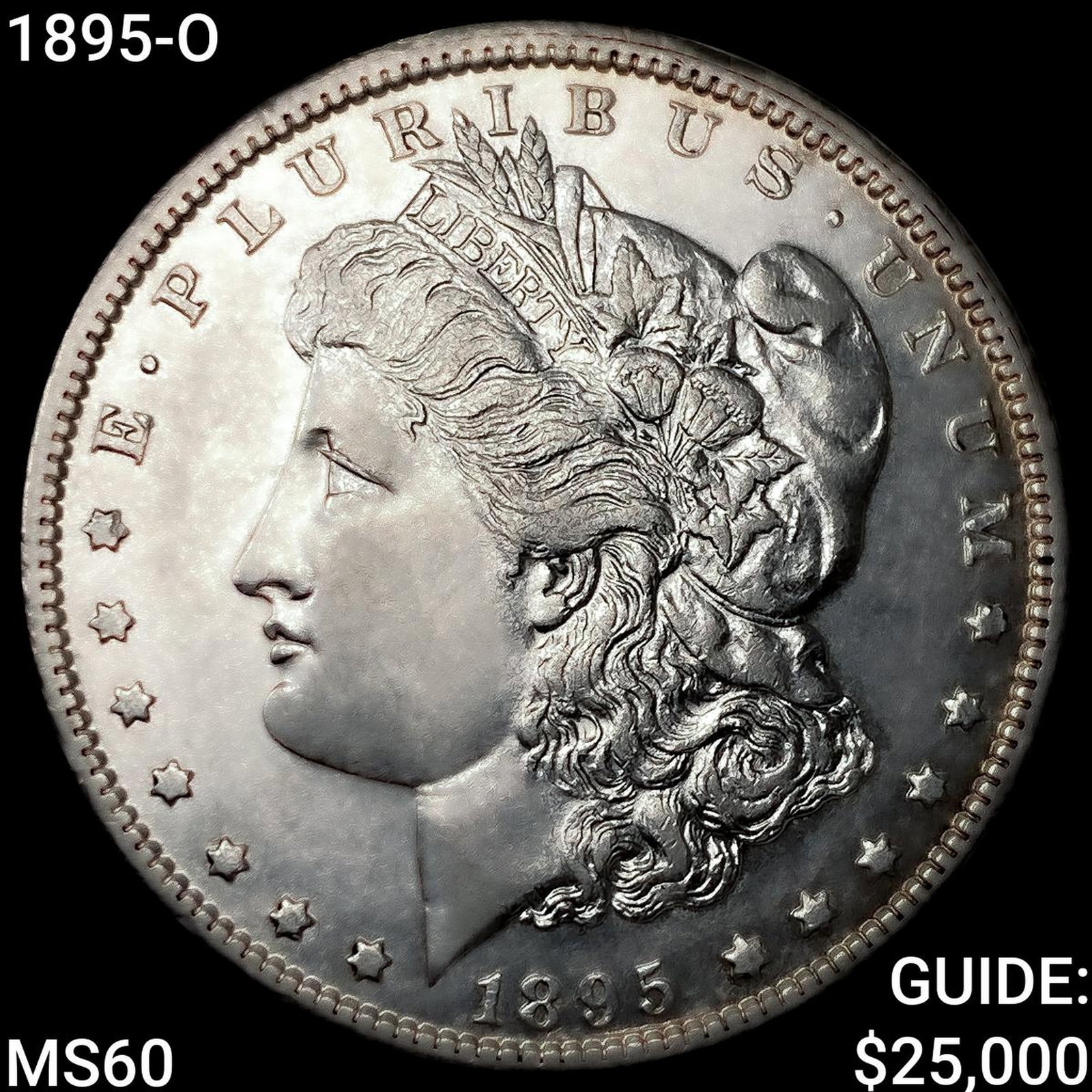 1895-O Morgan Silver Dollar (1 of 2)