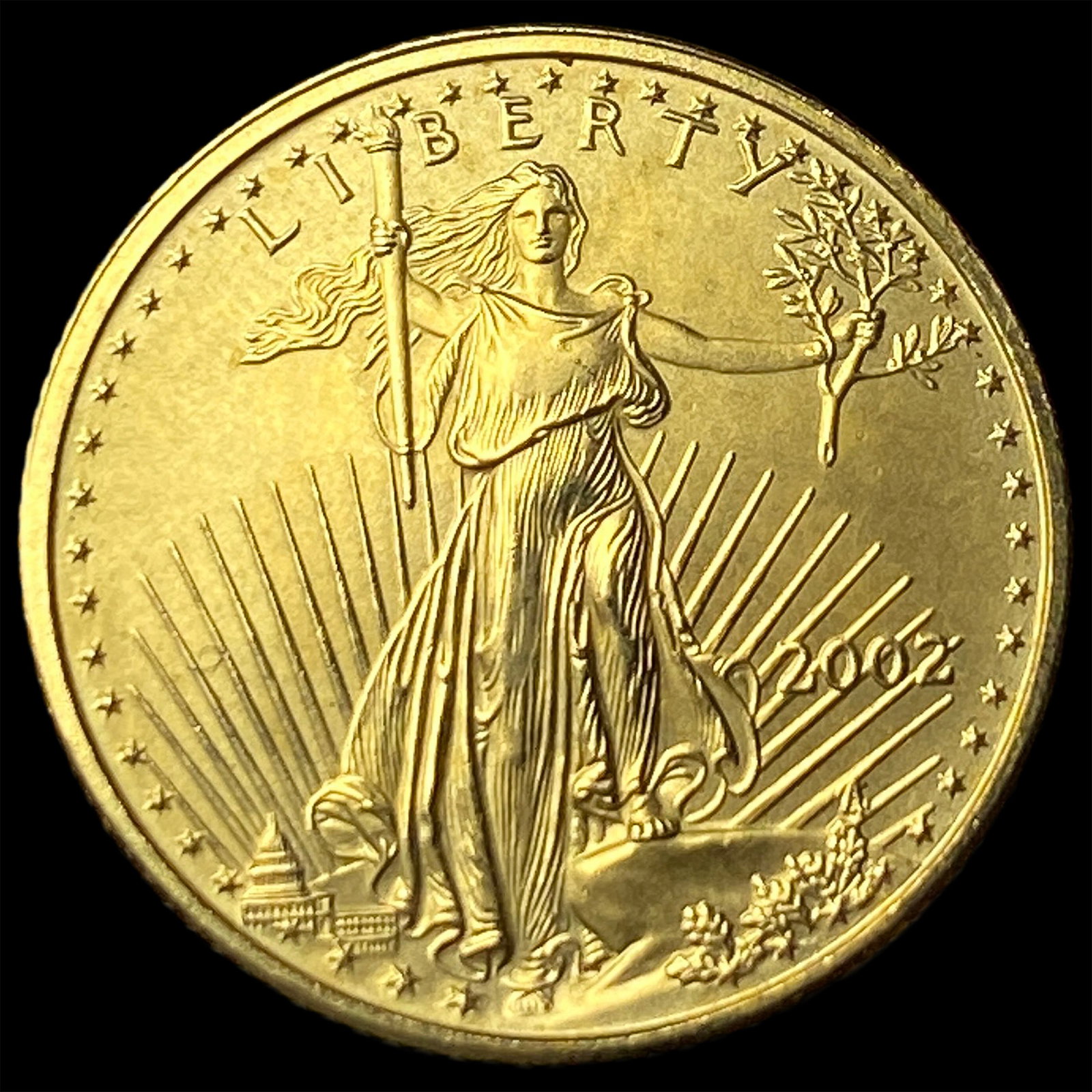 2002 1/10 oz Gold American Eagle $5 SUPERB GEM BU (1 of 2)