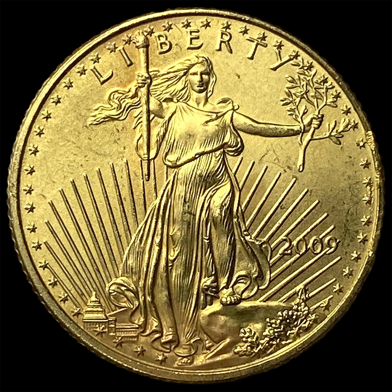 2009 1/10 oz Gold American Eagle $5 SUPERB GEM BU (1 of 2)