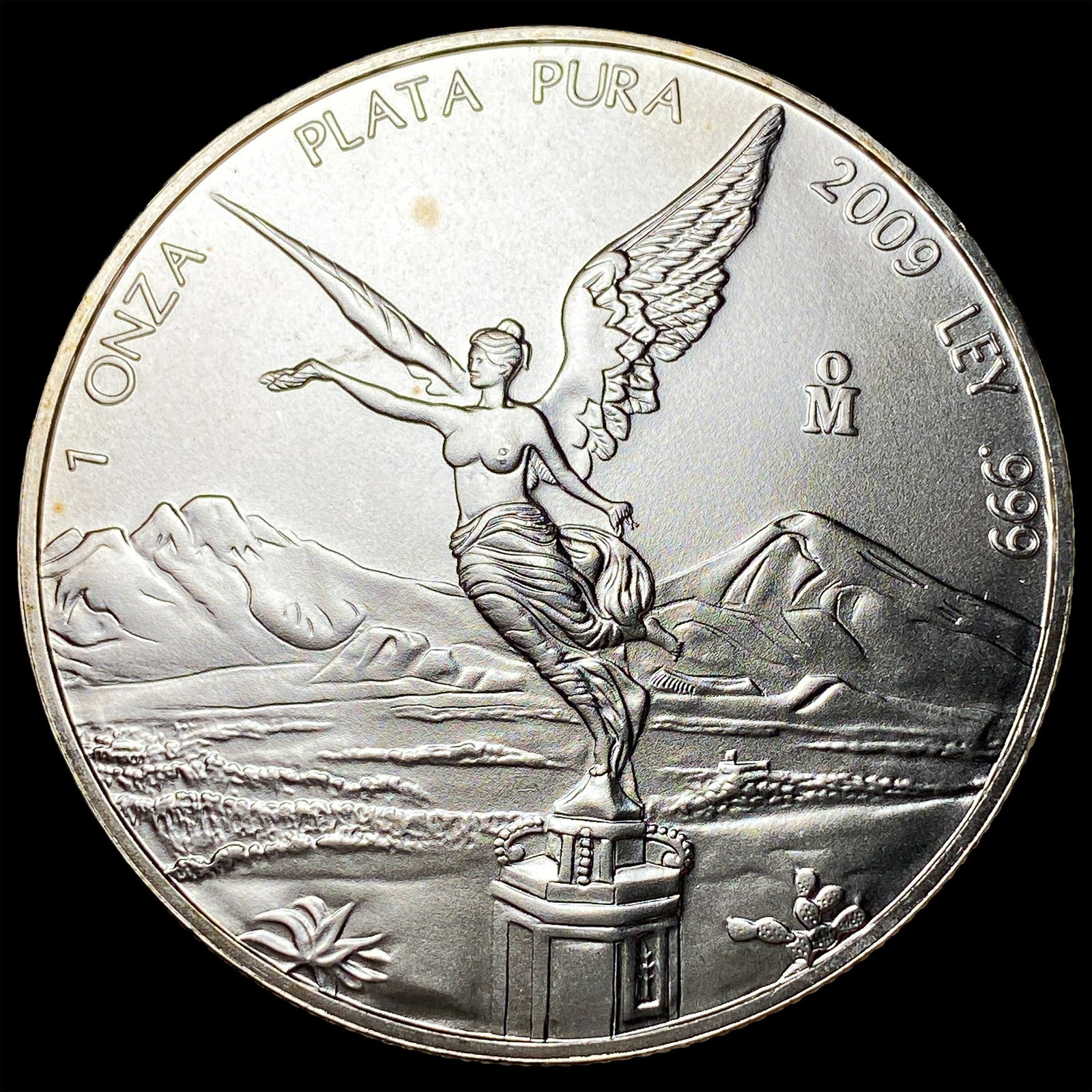 2009 Silver 1 Onza Libertad GEM BU (1 of 2)