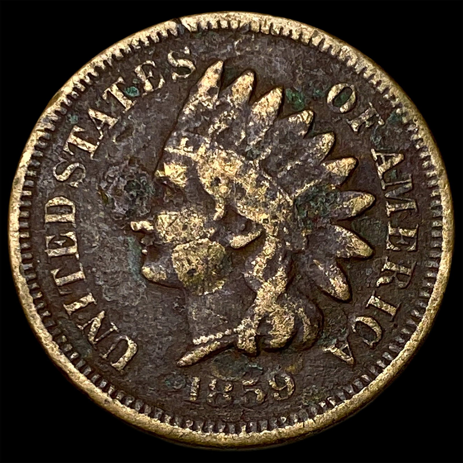 1859 Indian Head Cent LIGHTLY CIRCULATED: 1859 Indian Head Cent LIGHTLY CIRCULATED