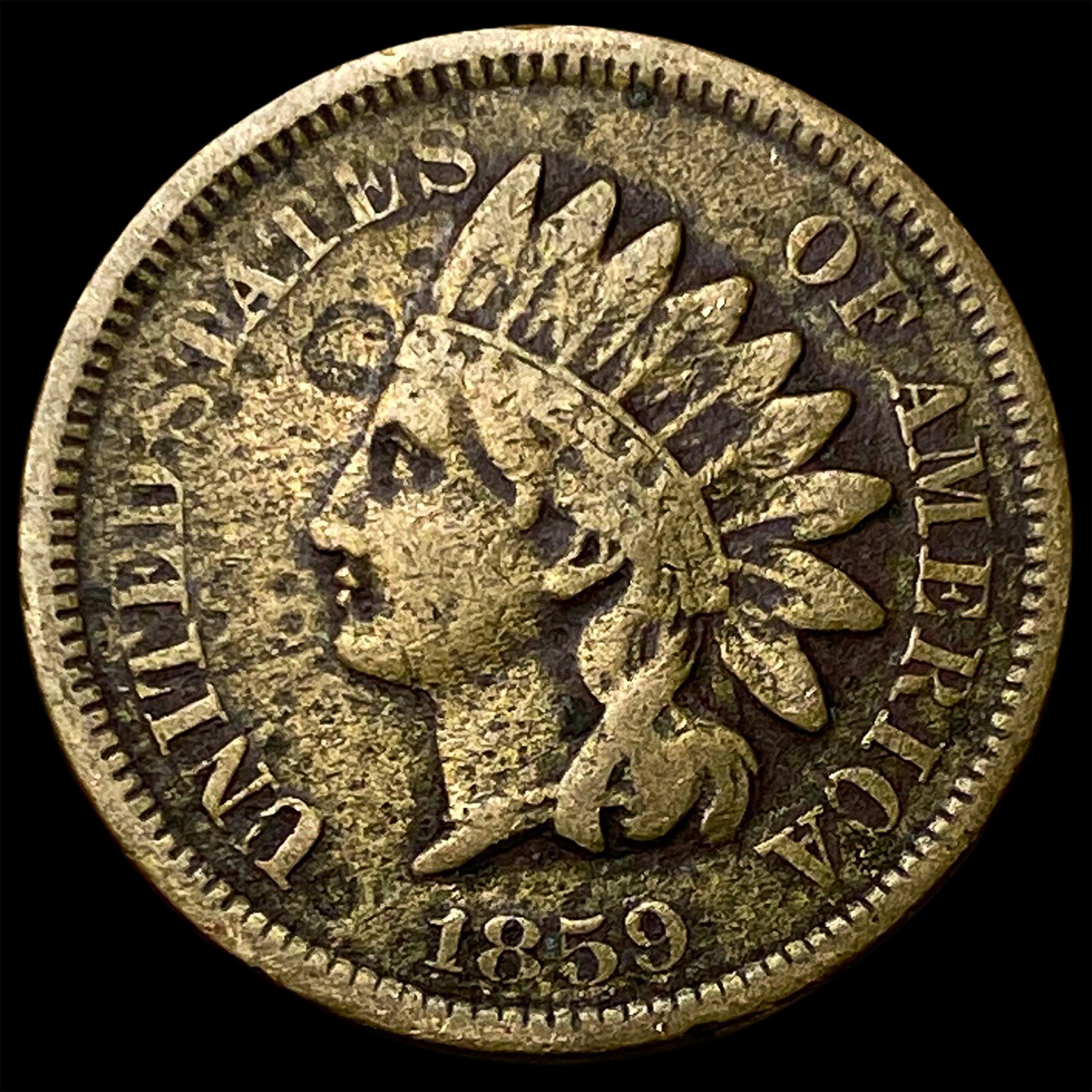 1859 Indian Head Cent NEARLY UNCIRCULATED: 1859 Indian Head Cent NEARLY UNCIRCULATED