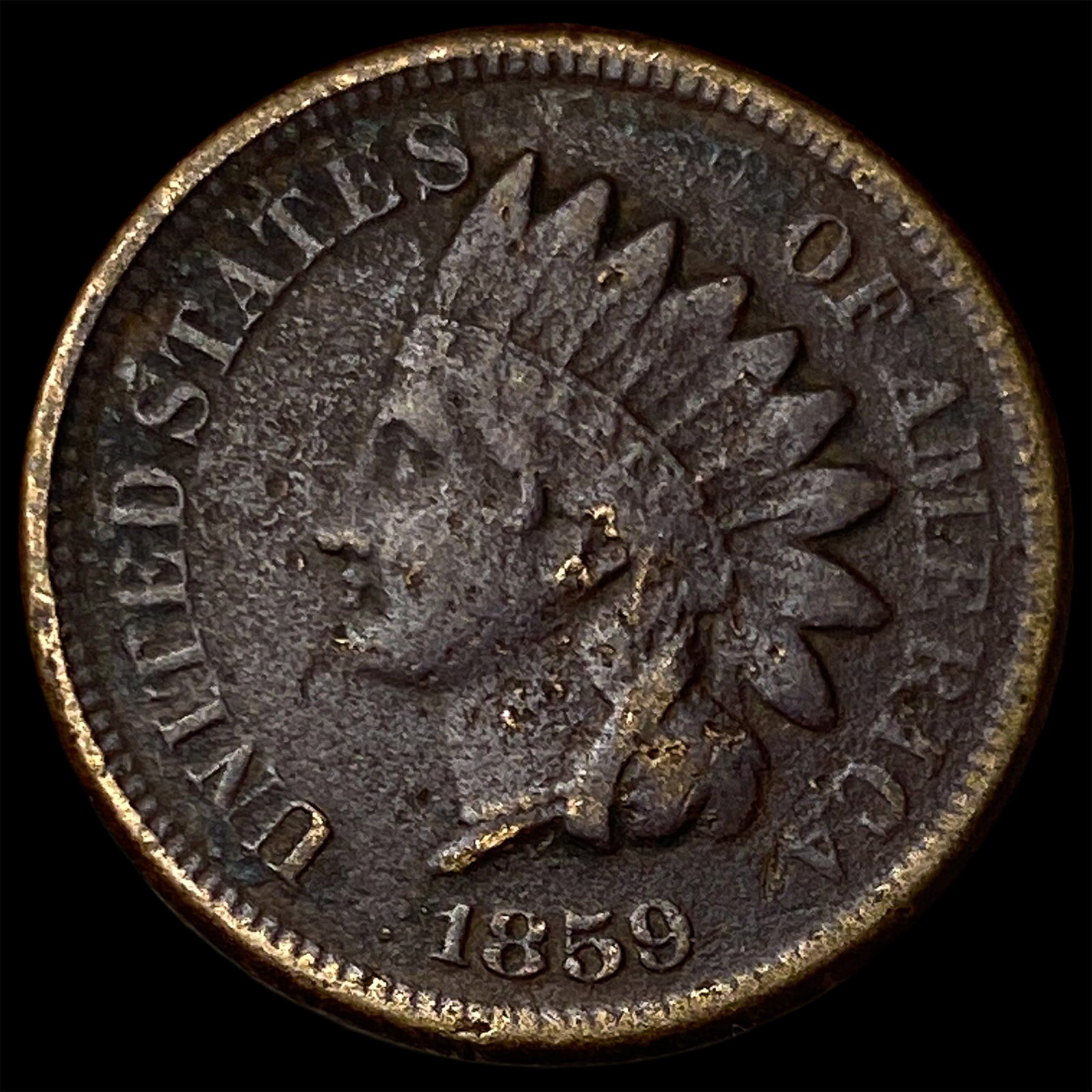 1859 Copper-Nickel Indian Head Cent NEARLY UNCIRCULATED: 1859 Copper-Nickel Indian Head Cent NEARLY UNCIRCULATED