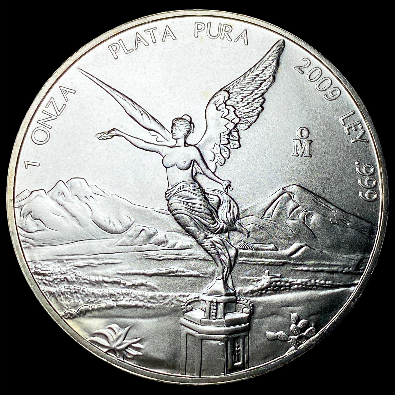 2009 Silver 1 Onza Libertad SUPERB GEM BU (1 of 2)