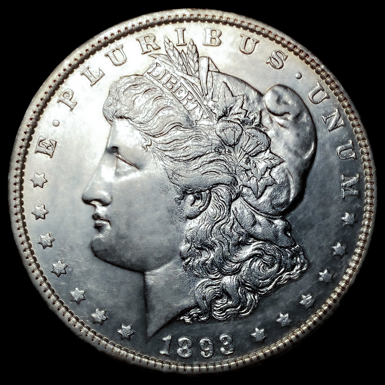 1893 Morgan Silver Dollar (1 of 2)