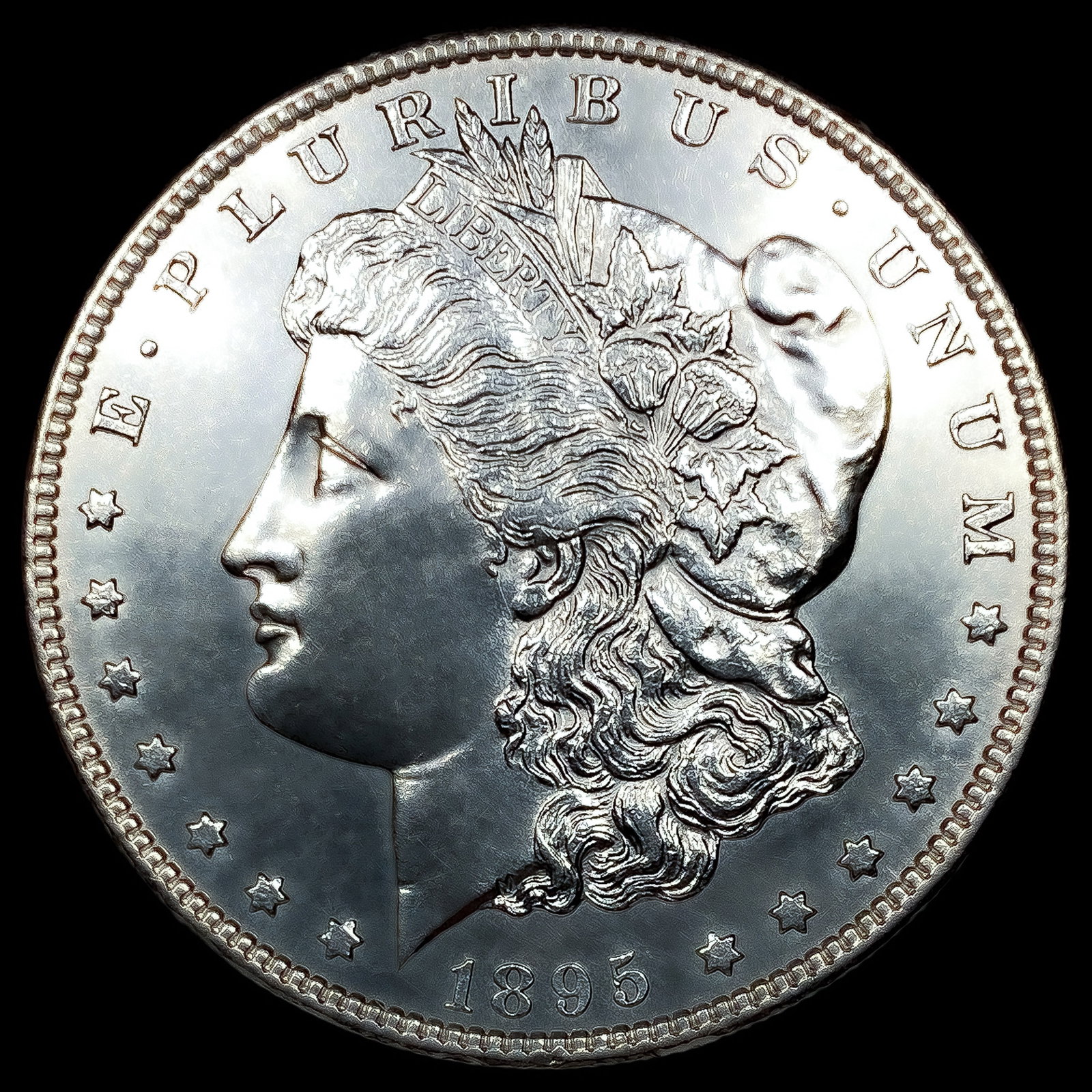 1895-S Morgan Silver Dollar (1 of 2)