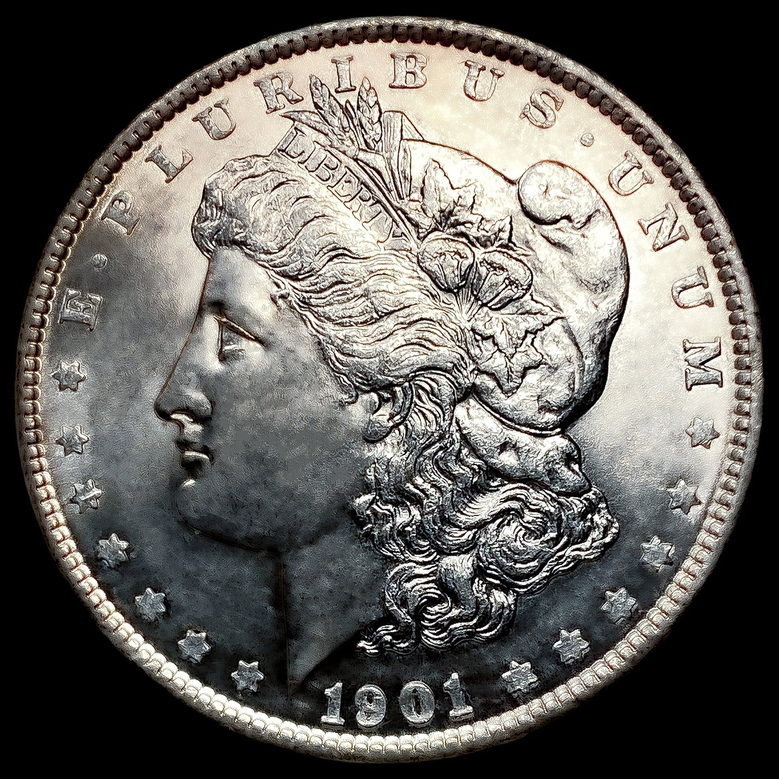 1901 Morgan Silver Dollar (1 of 2)