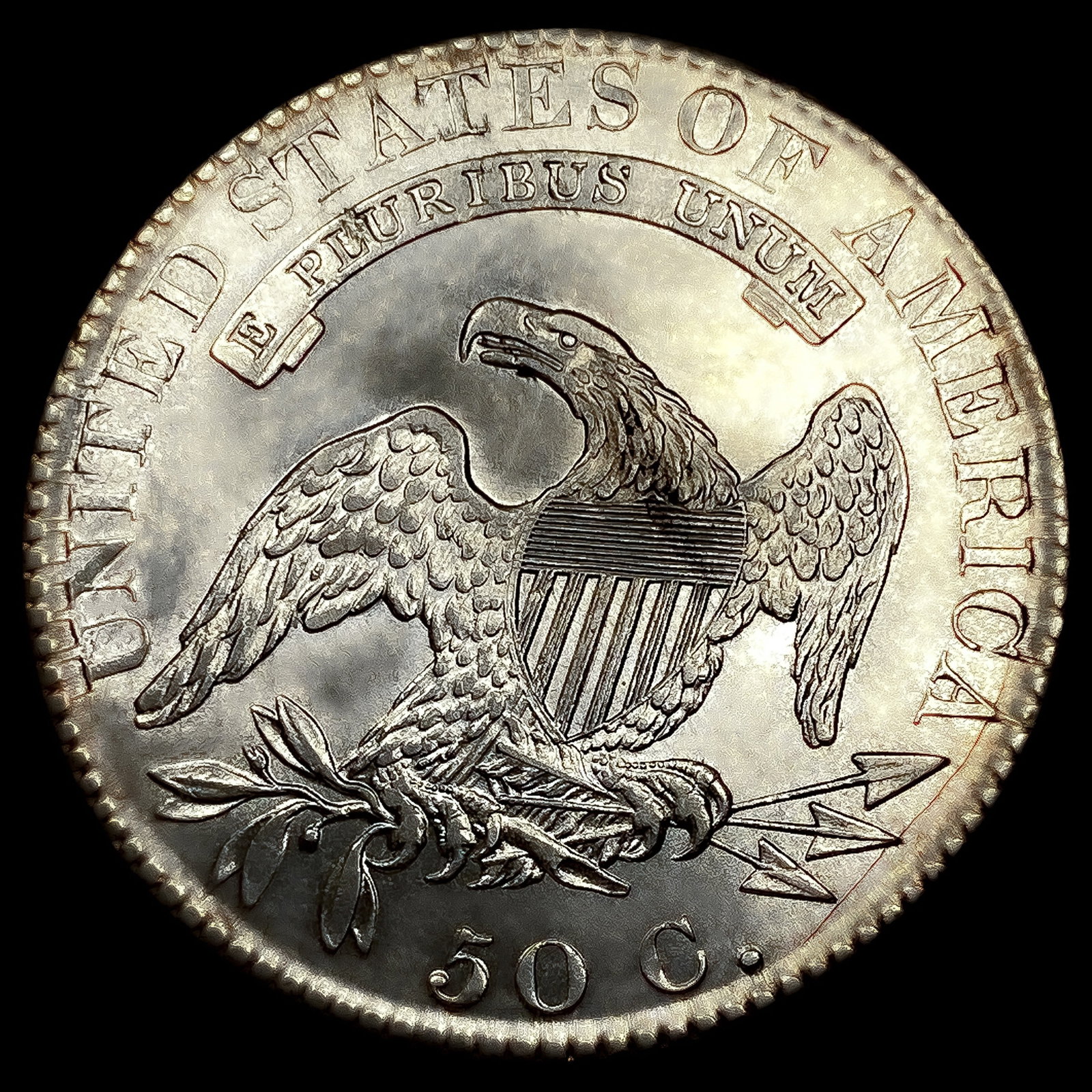 1819 Capped Bust Half Dollar UNCIRCULATED - 2