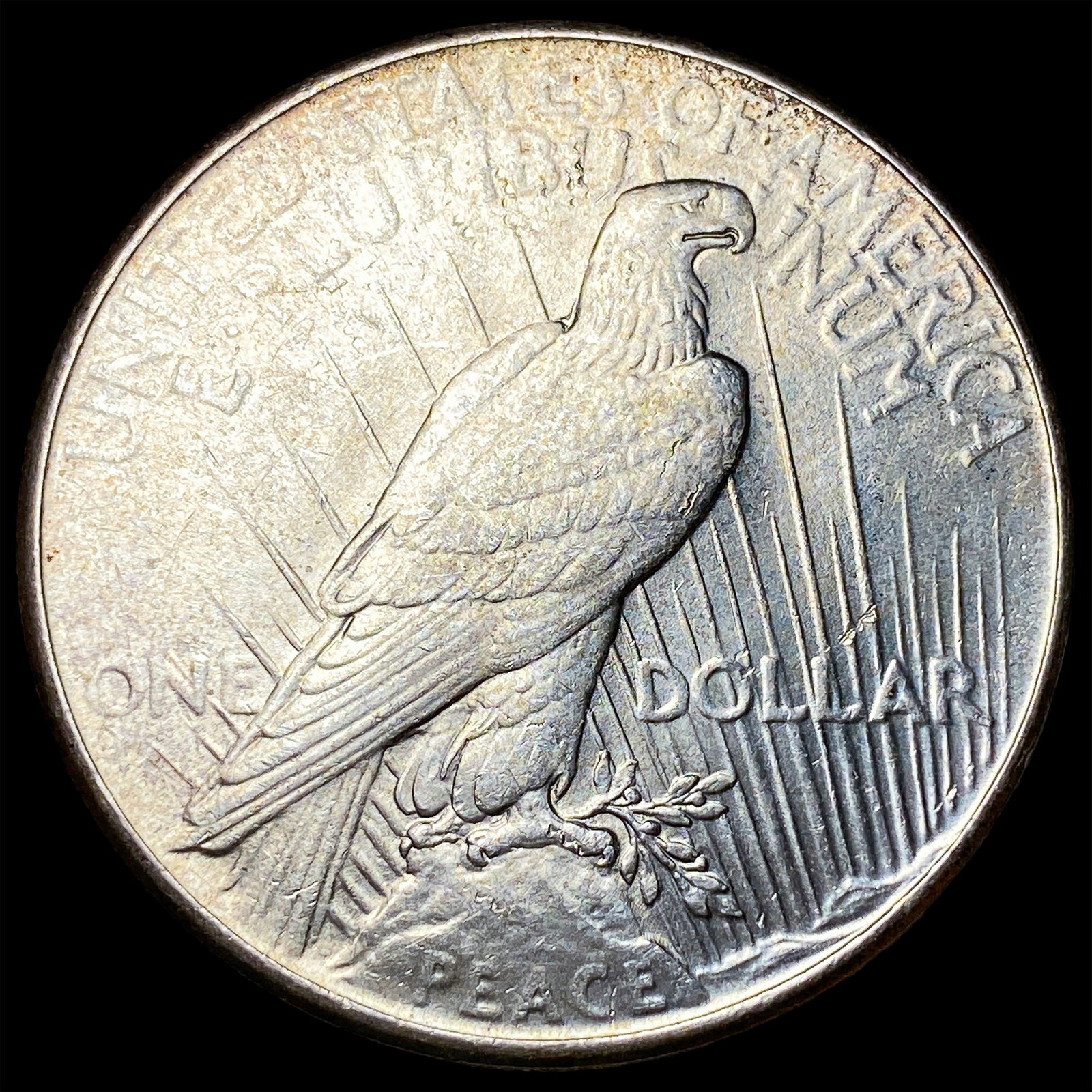 1925 Peace Silver Dollar UNCIRCULATED - 2