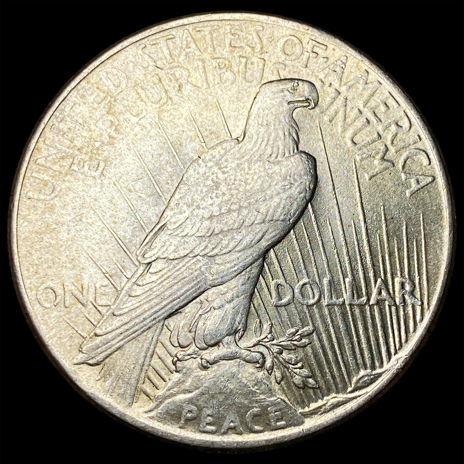 1925 Peace Silver Dollar UNCIRCULATED - 2