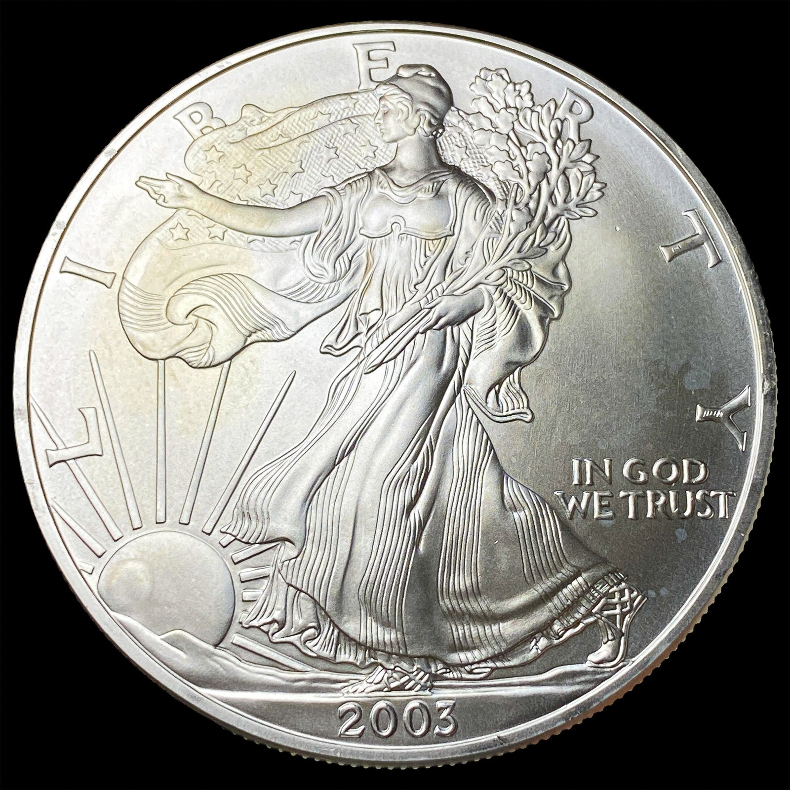 2003 Silver American Eagle $1 SUPERB GEM BU (1 of 2)