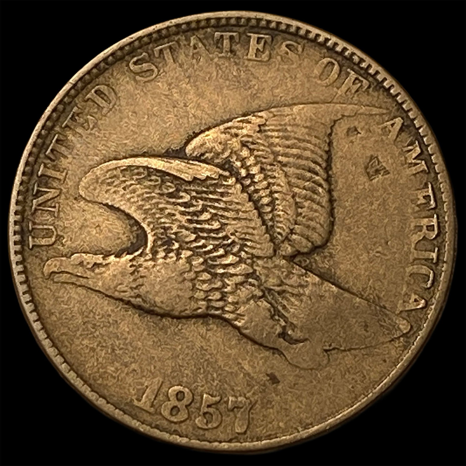 1857 Flying Eagle Cent ABOUT UNCIRCULATED: 1857 Flying Eagle Cent ABOUT UNCIRCULATED