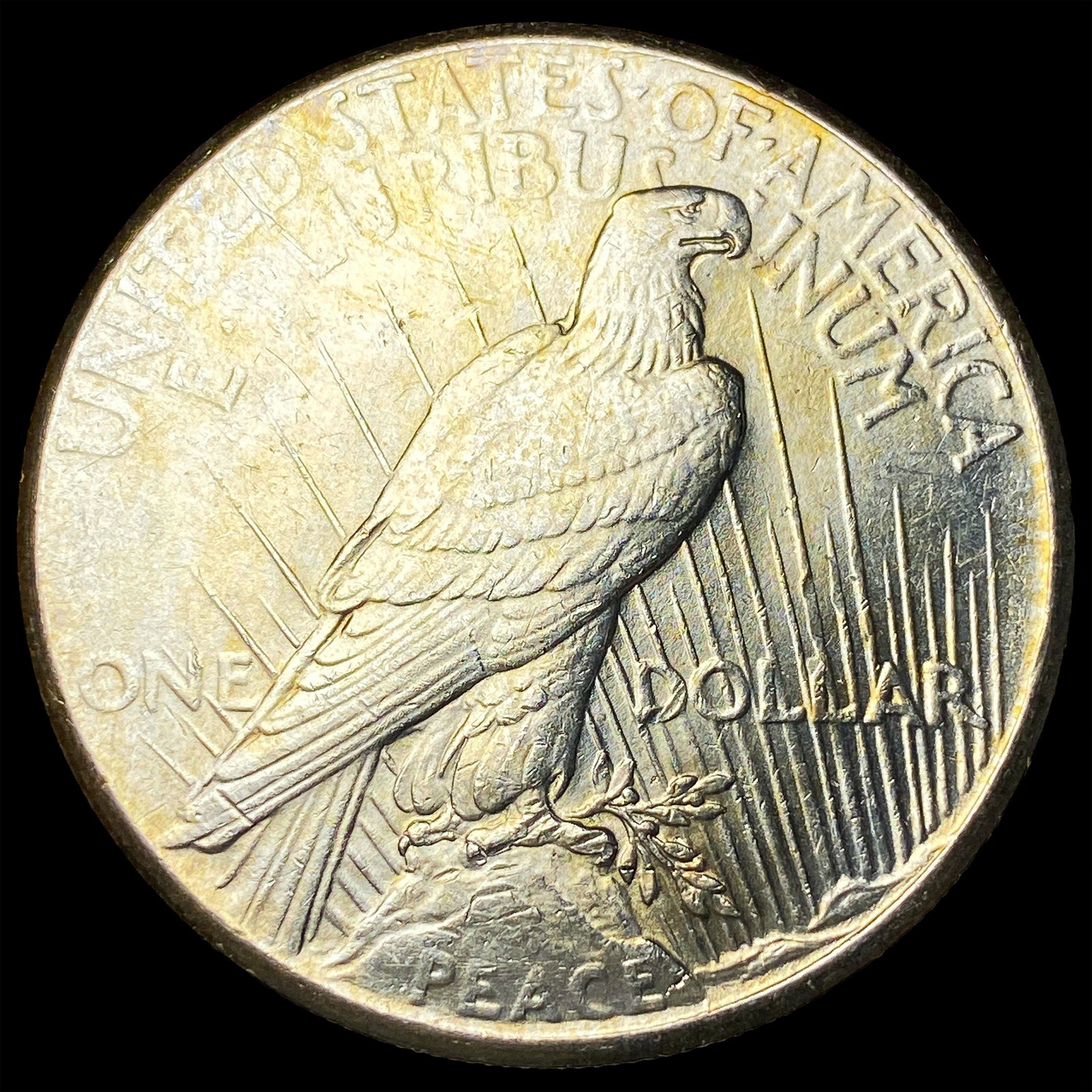 1925 Silver Peace Dollar UNCIRCULATED - 2