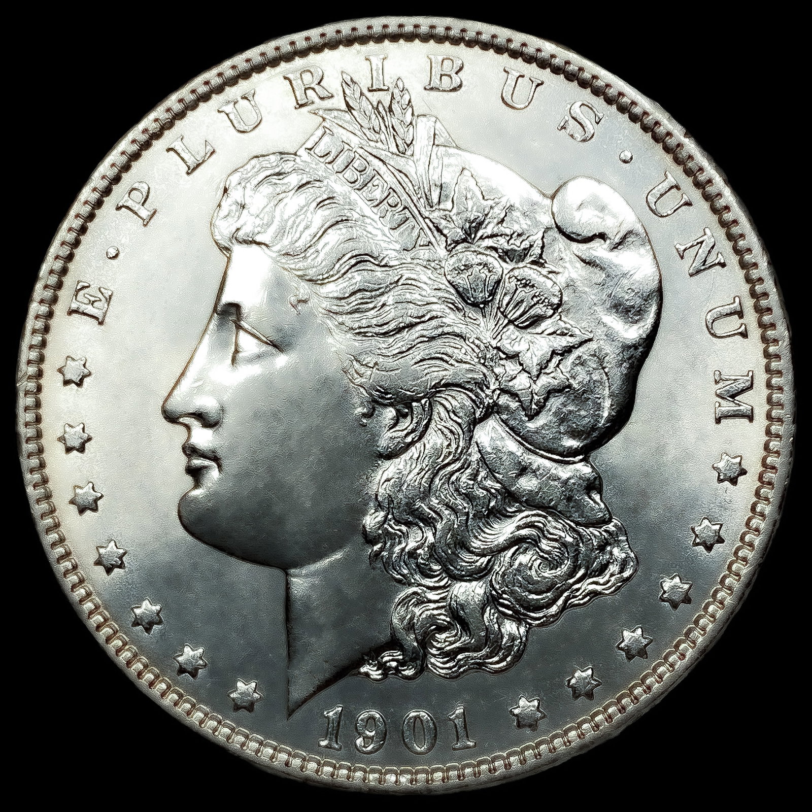 1901 VAM-3 DDR Feathers Morgan Silver Dollar (1 of 2)
