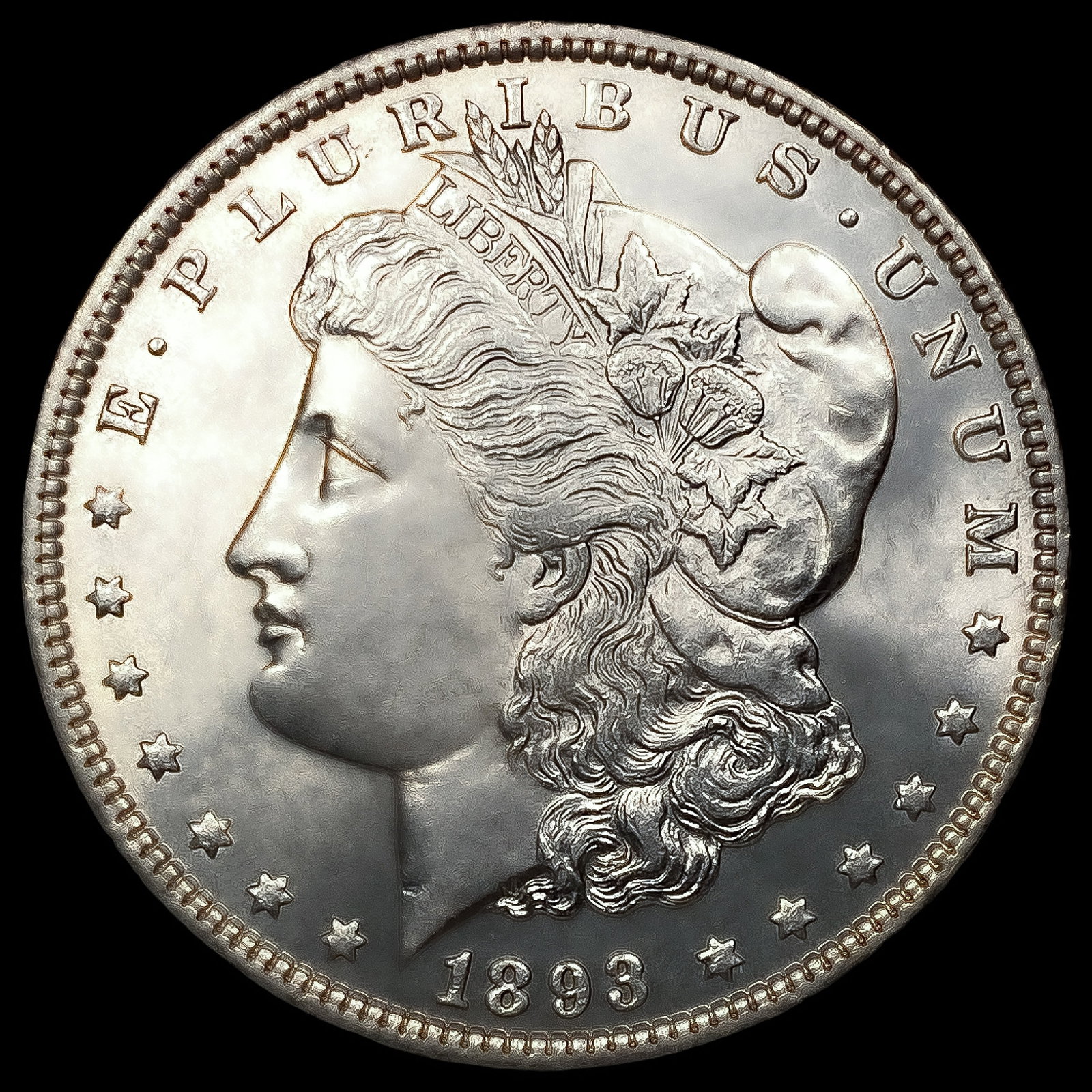 1893 Morgan Silver Dollar (1 of 2)