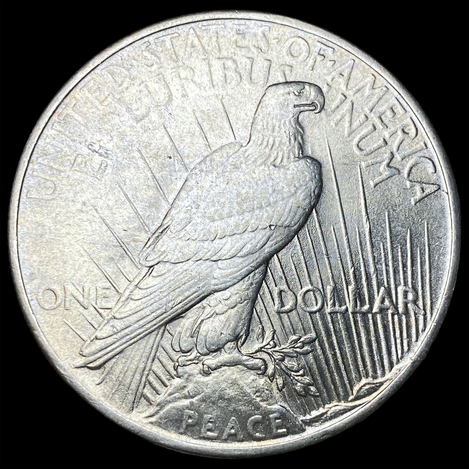1925 Silver Peace Dollar UNCIRCULATED - 2