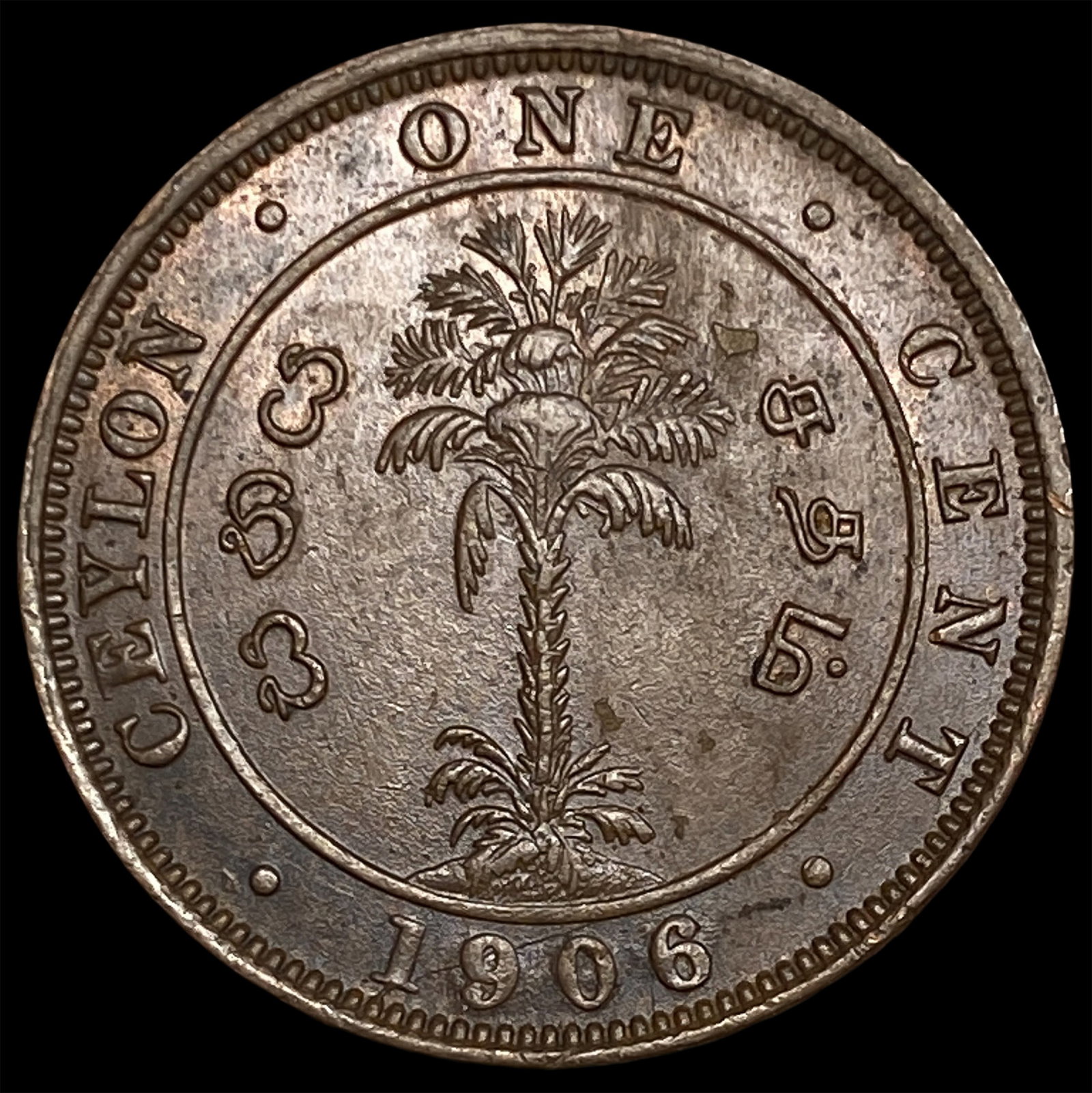 1906 Ceylon Copper 1 Cent - 2