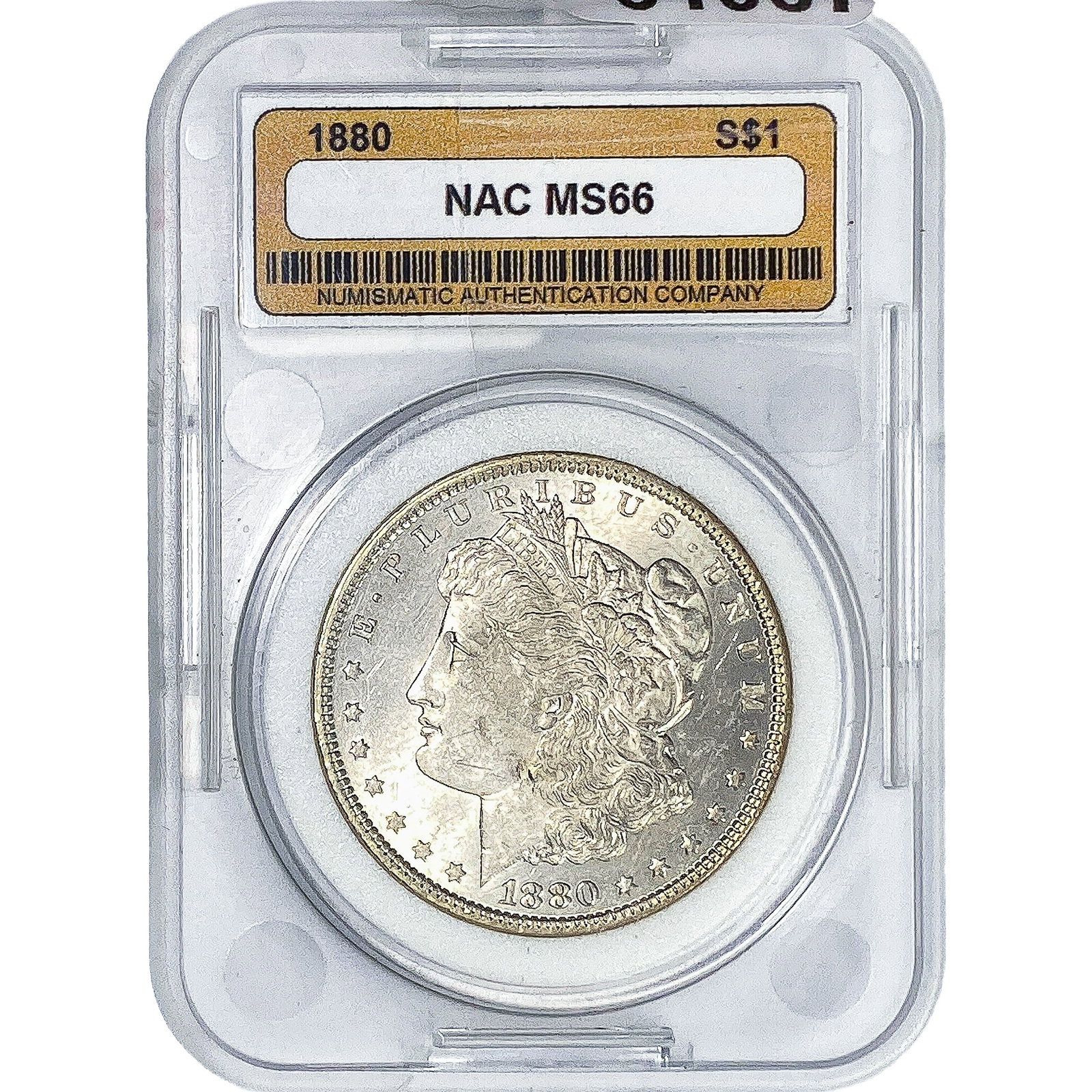 1880 Morgan Silver Dollar NAC MS66: 1880 Morgan Silver Dollar NAC MS66