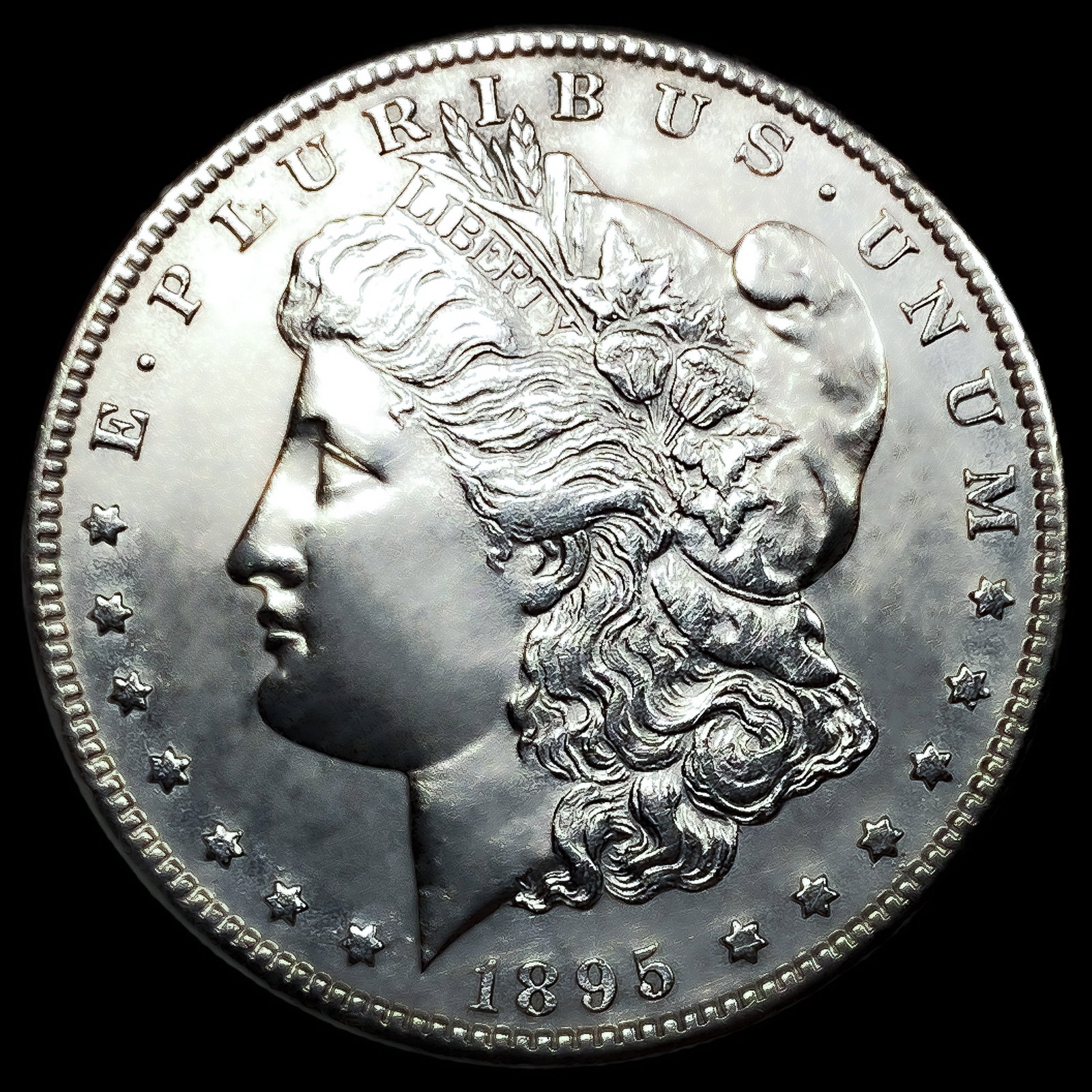 1895-S Morgan Silver Dollar (1 of 2)