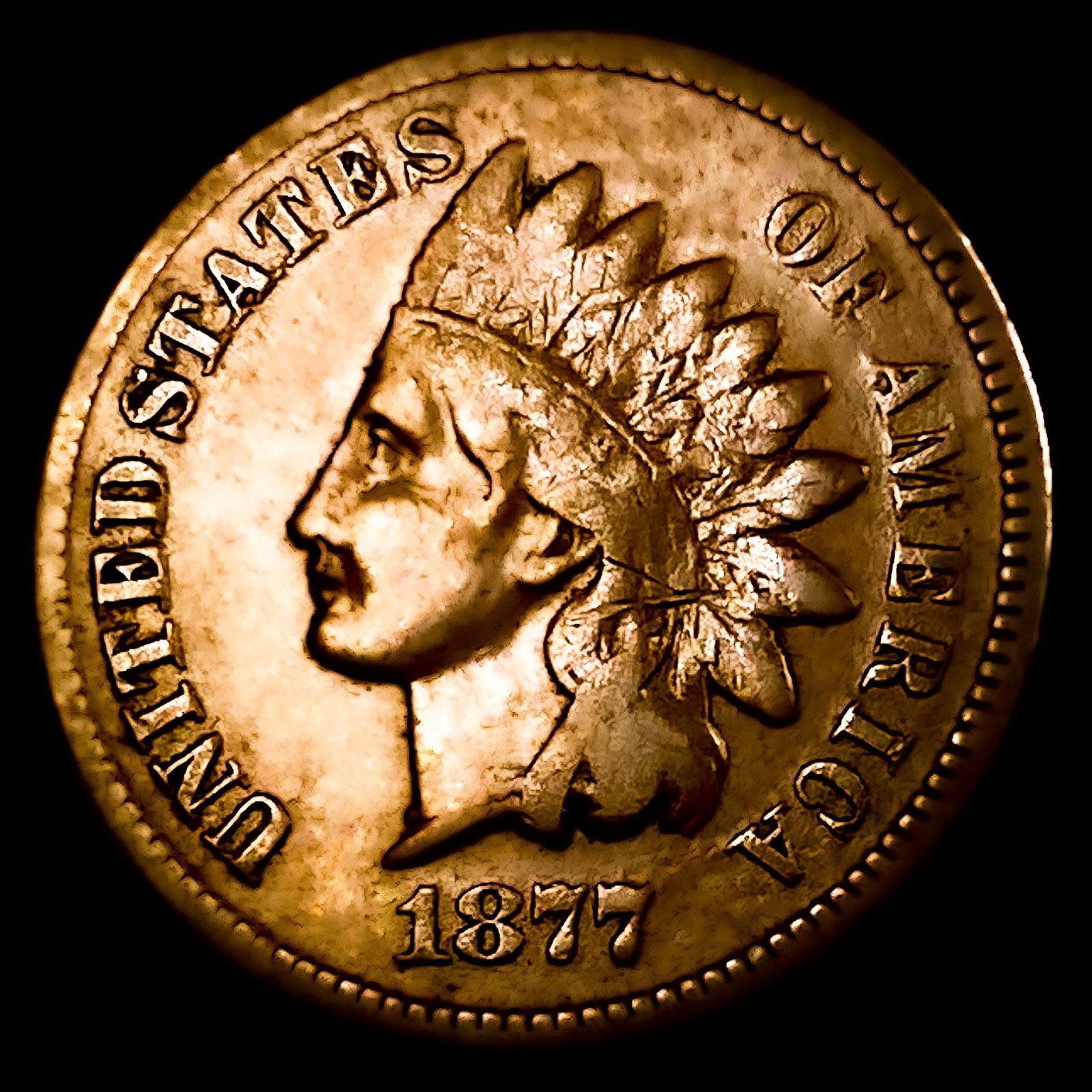 1877 Indian Head Cent: 1877 Indian Head Cent