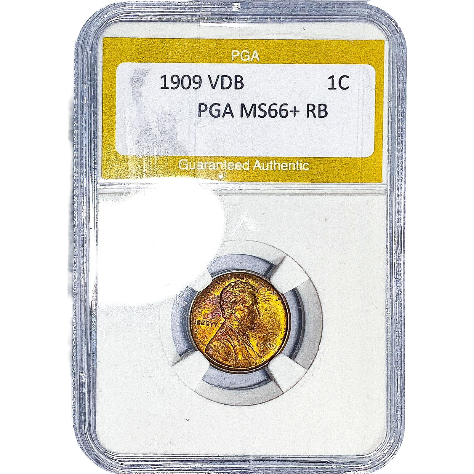 1909 VDB Wheat Cent PGA MS66+ RB: 1909 VDB Wheat Cent PGA MS66+ RB