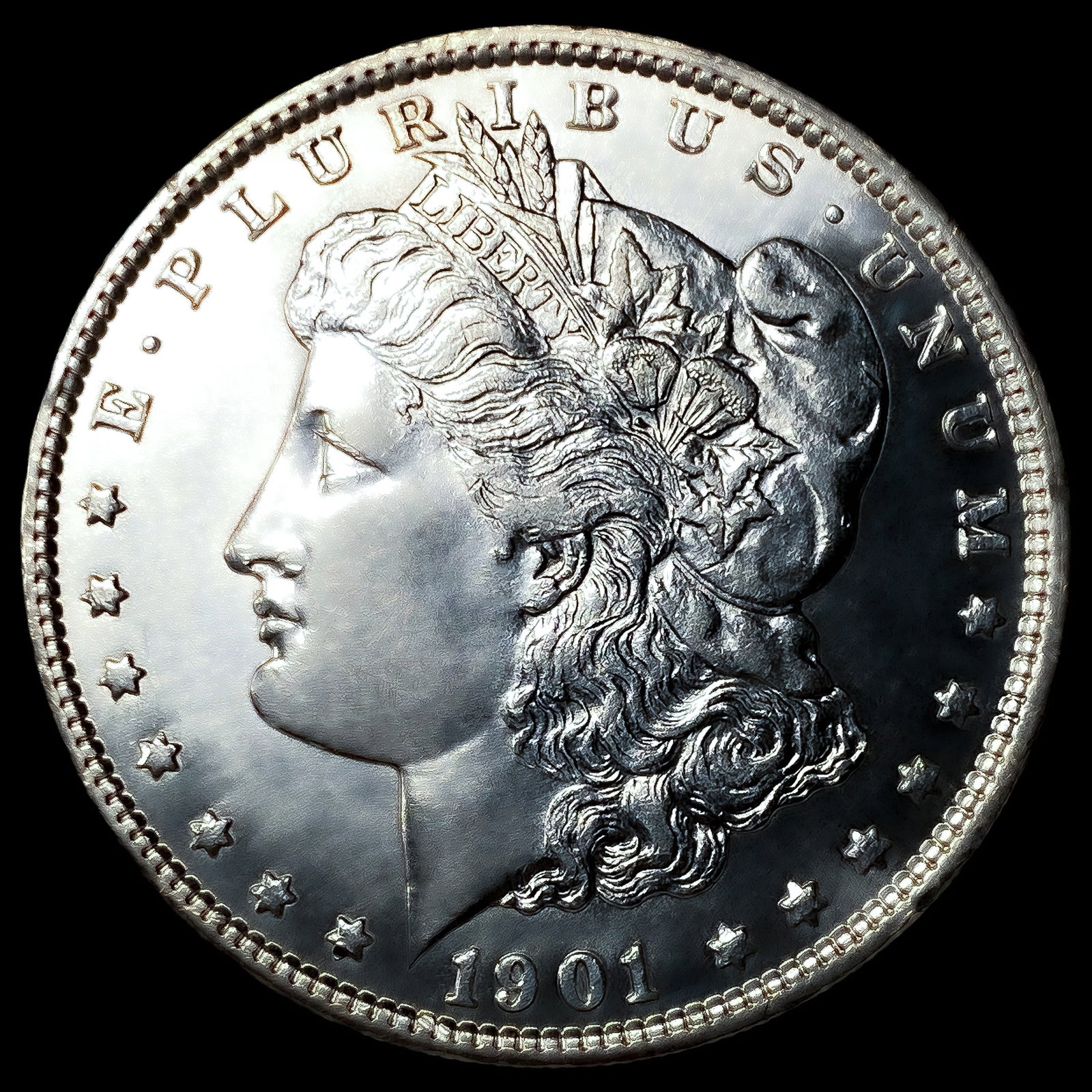 1901 Morgan Silver Dollar (1 of 2)