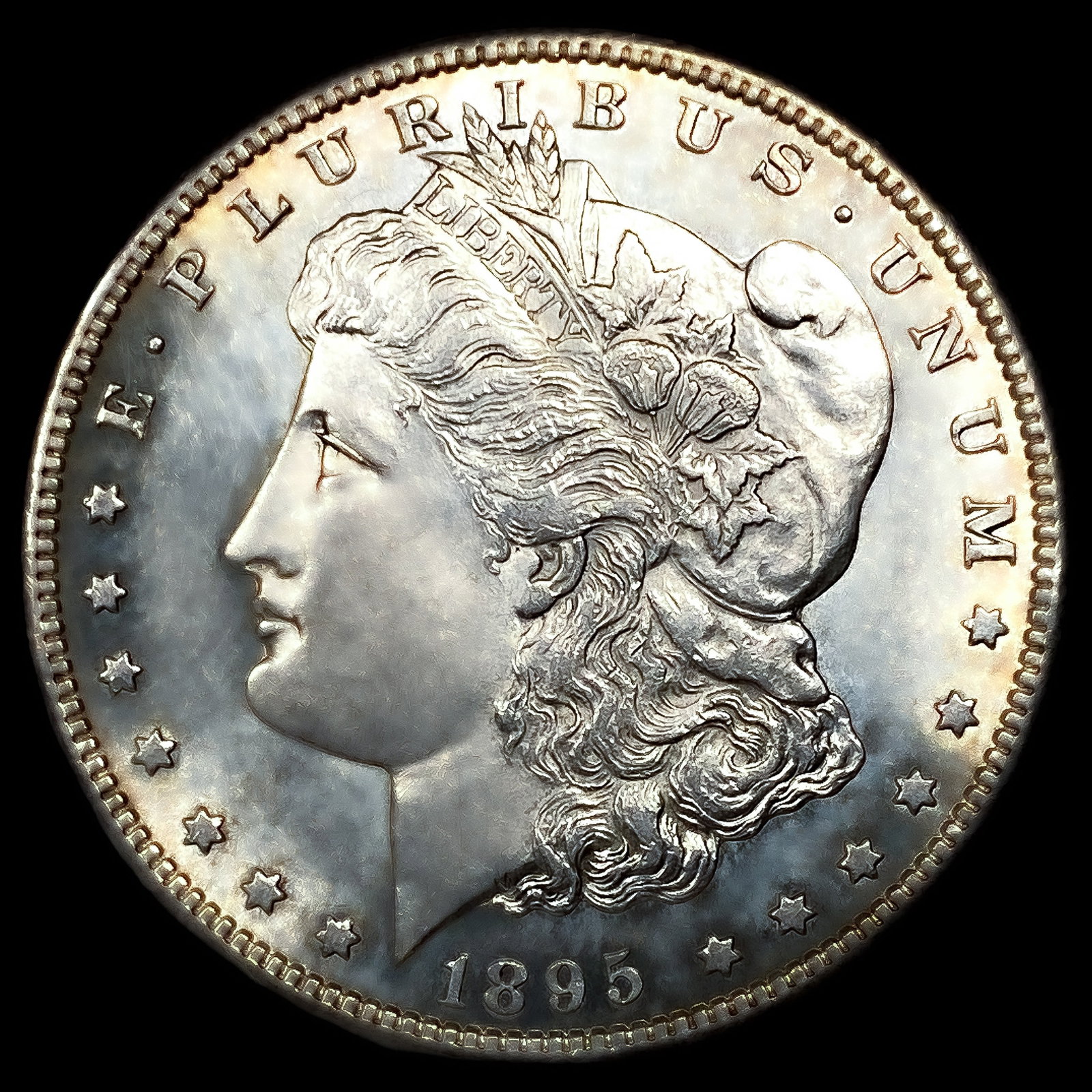1895-S Morgan Silver Dollar (1 of 2)