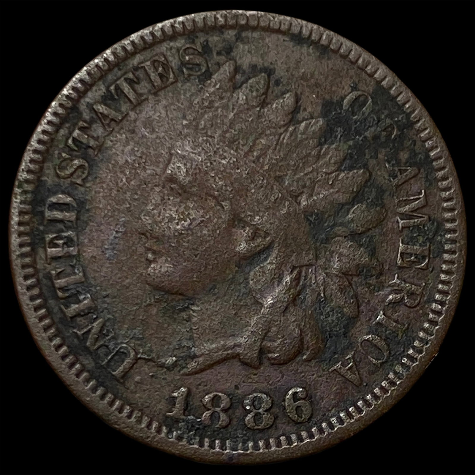 1886 Indian Head Cent NICELY CIRCULATED: 1886 Indian Head Cent NICELY CIRCULATED