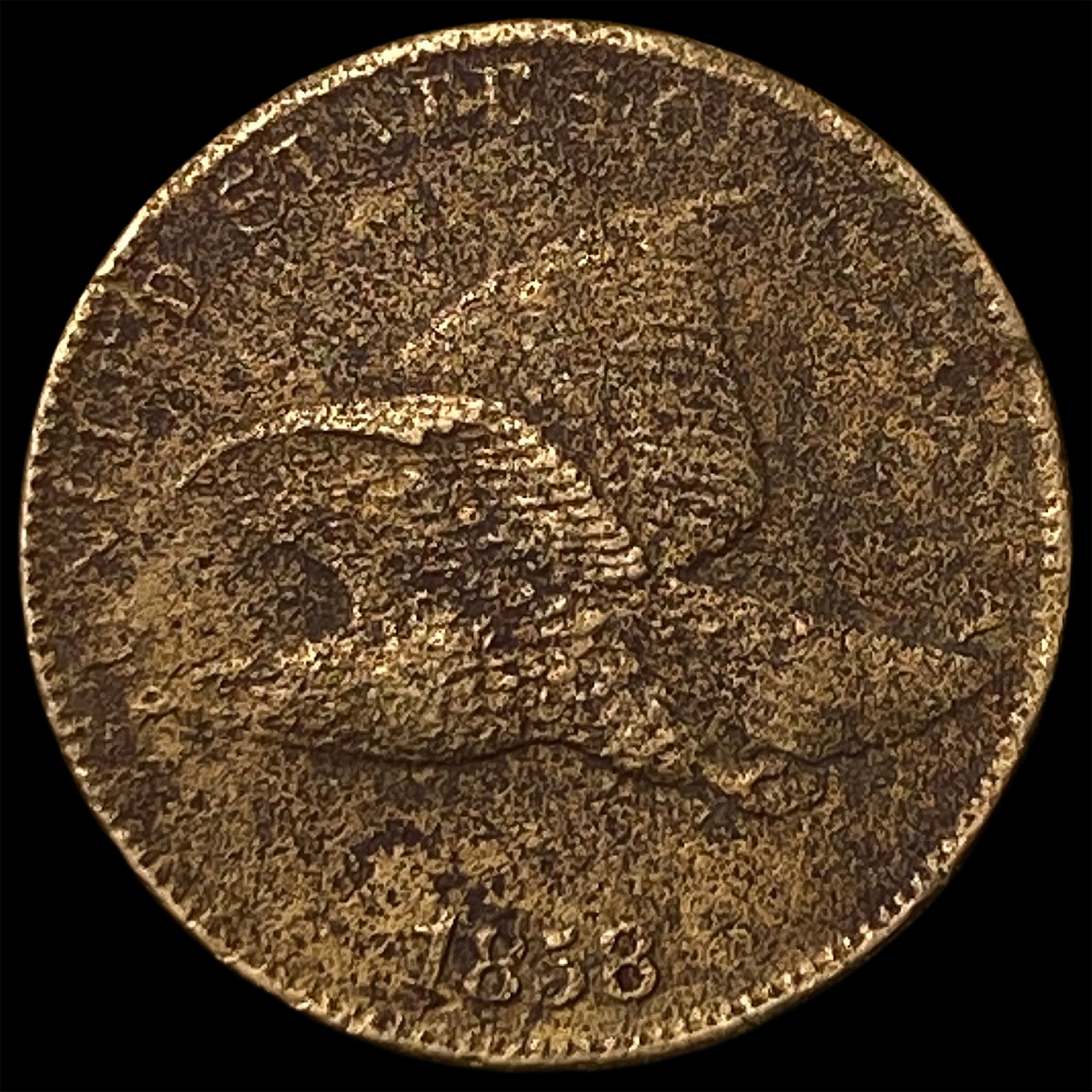 1858 Flying Eagle Cent NEARLY UNCIRCULATED: 1858 Flying Eagle Cent NEARLY UNCIRCULATED