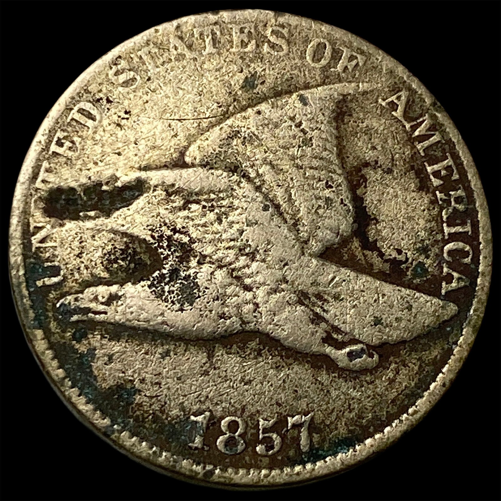 1857 Flying Eagle Cent LIGHTLY CIRCULATED: 1857 Flying Eagle Cent LIGHTLY CIRCULATED