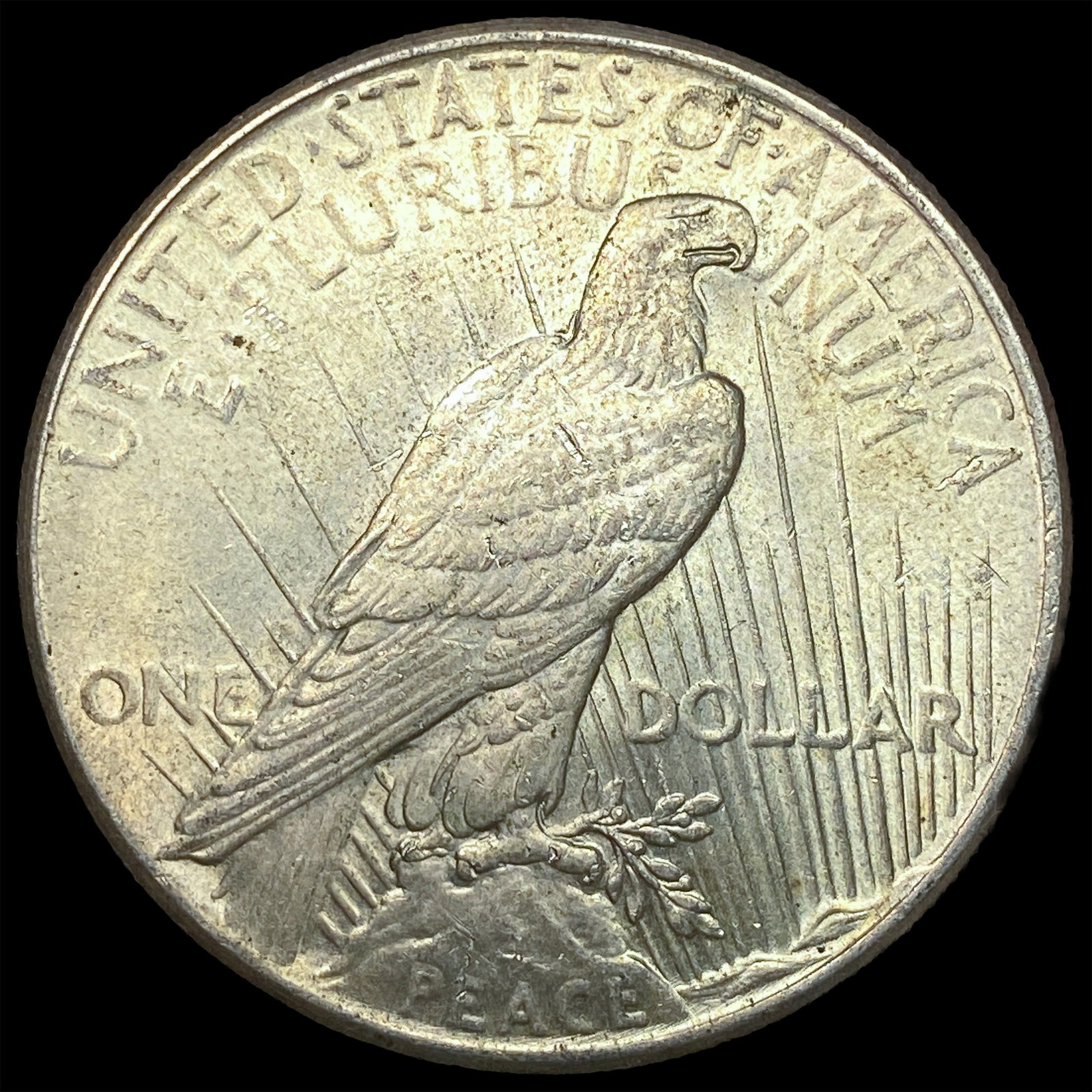 1925 Silver Peace Dollar UNCIRCULATED - 2