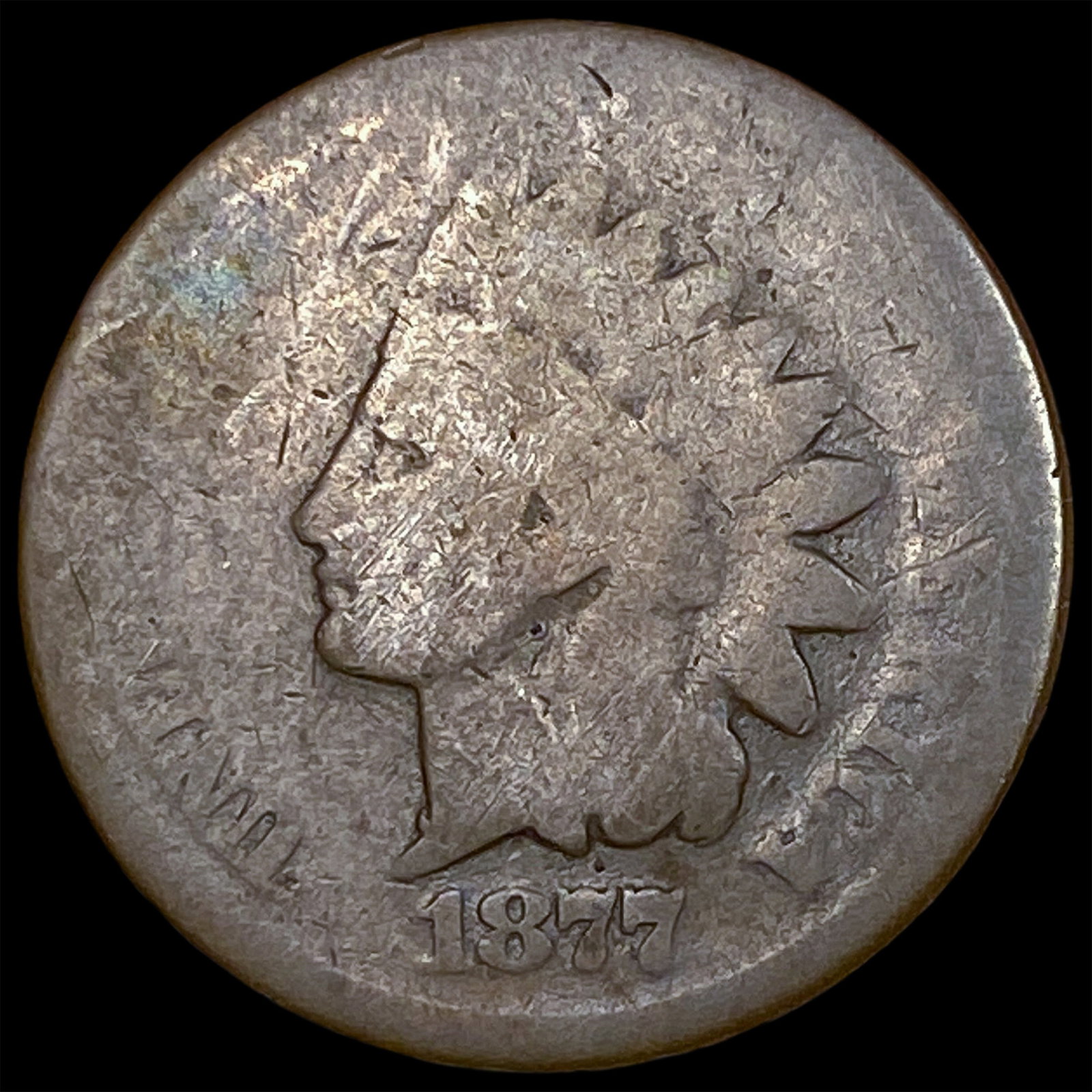 1877 Indian Head Cent NICELY CIRCULATED: 1877 Indian Head Cent NICELY CIRCULATED
