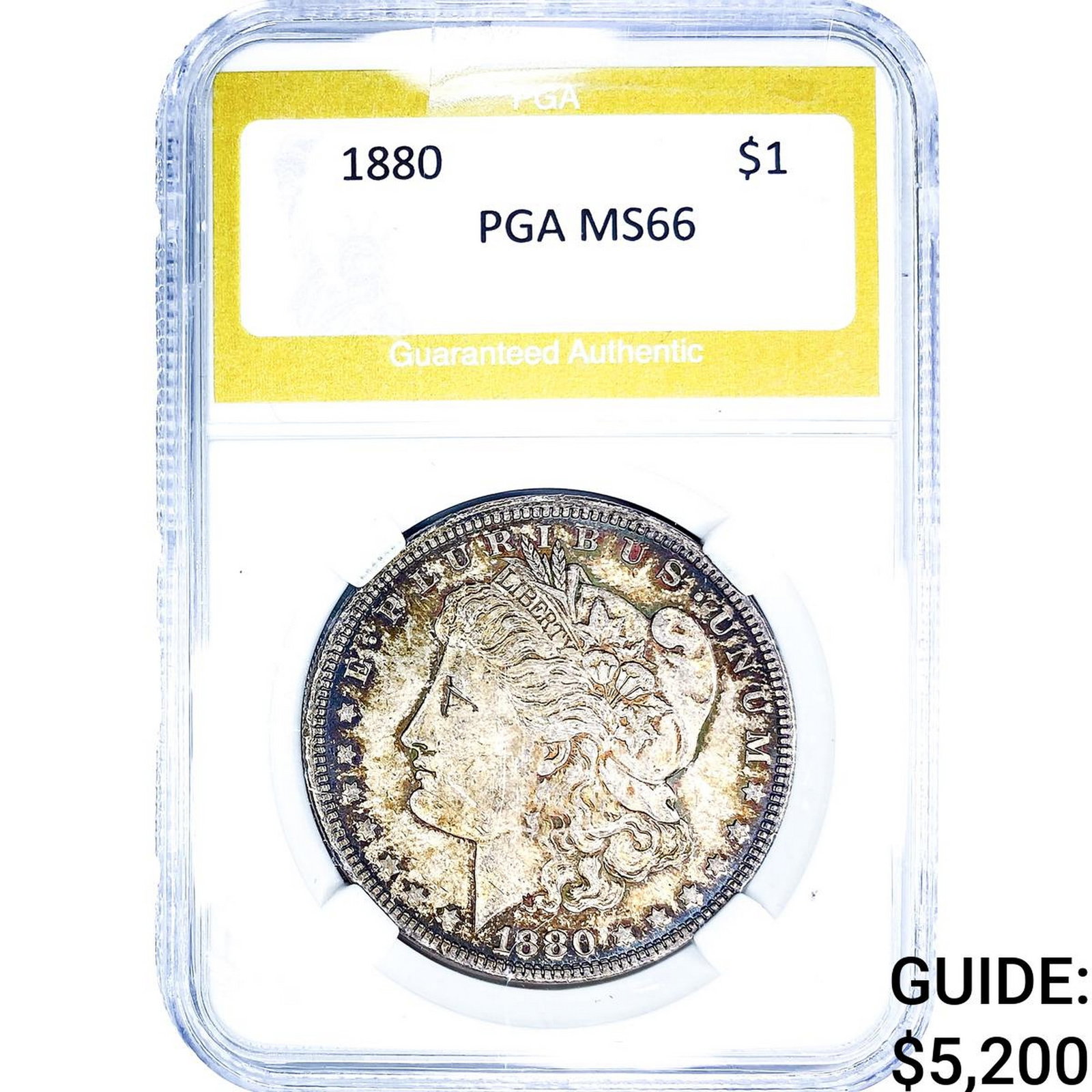 1880 Morgan Silver Dollar PGA MS66: 1880 Morgan Silver Dollar PGA MS66