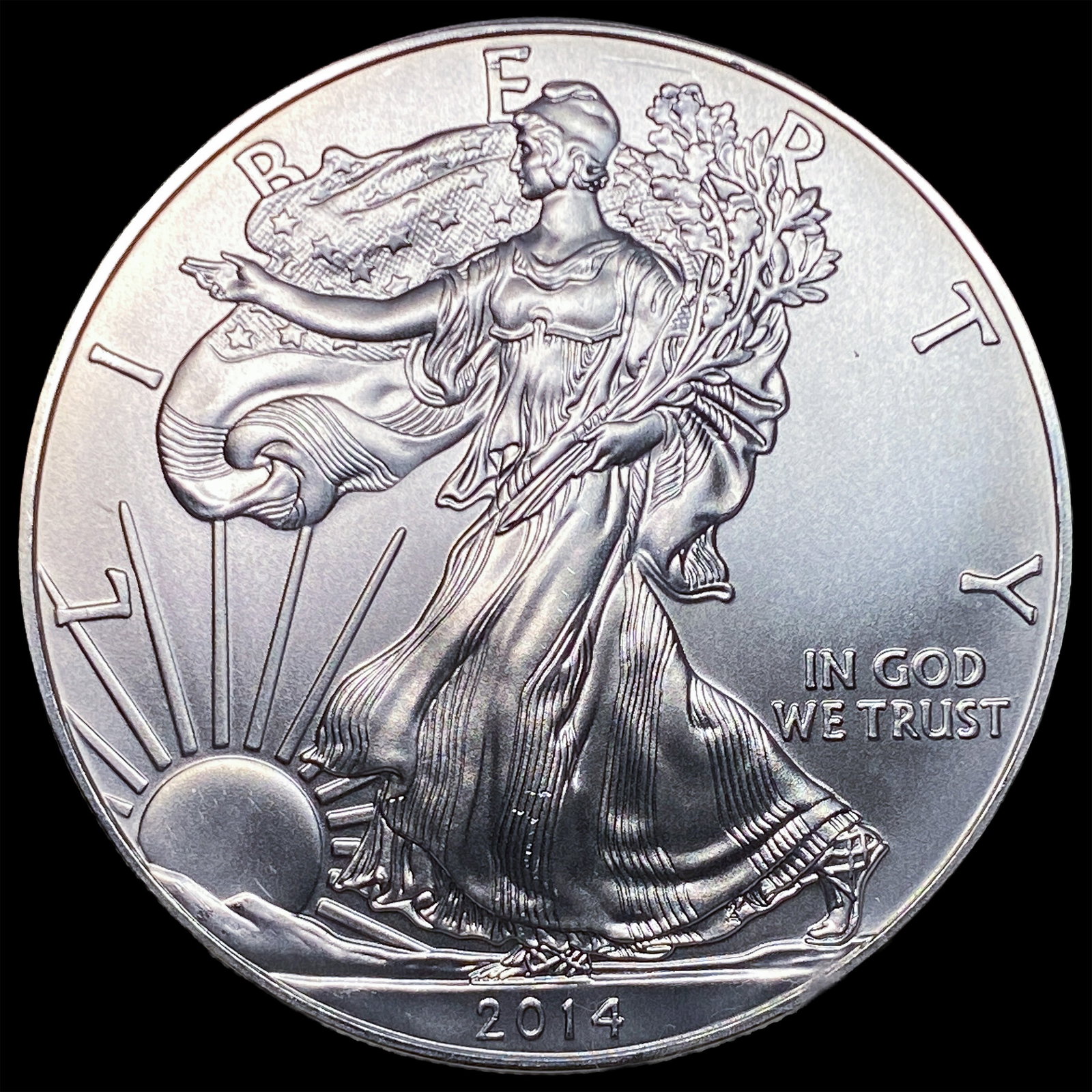 2014 Silver American Eagle $1 SUPERB GEM BU (1 of 2)
