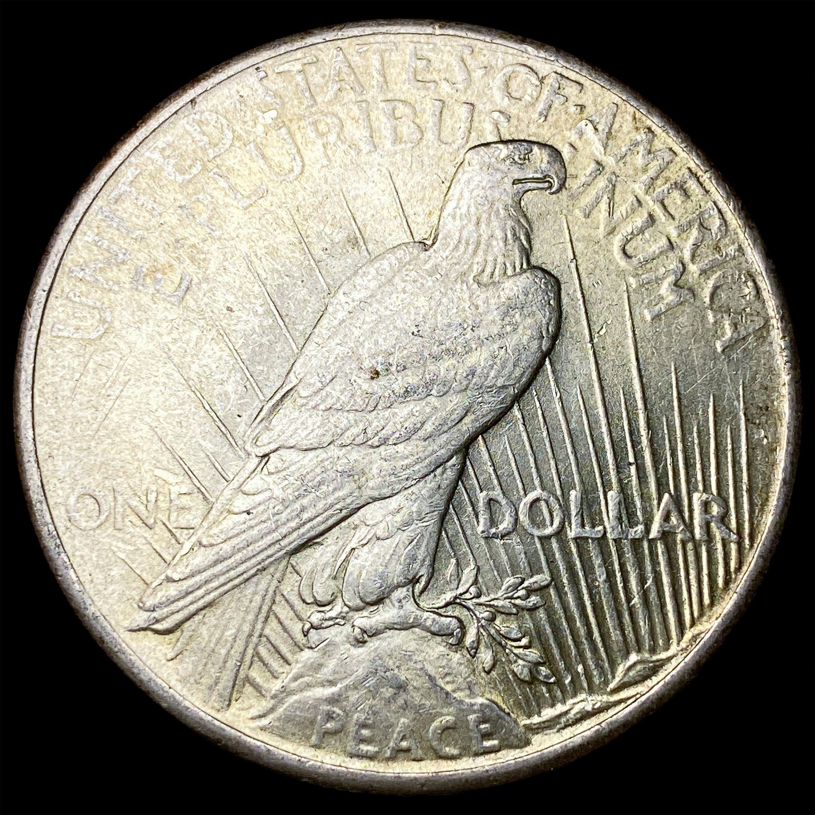 1925 Peace Silver Dollar UNCIRCULATED - 2