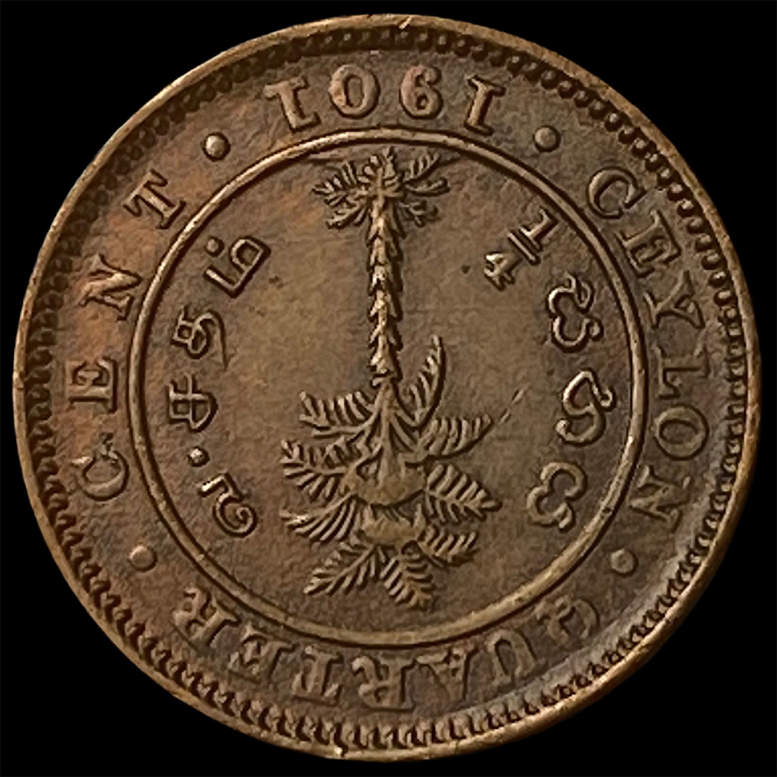 1901 Ceylon Bronze 1/4 Cent - 2