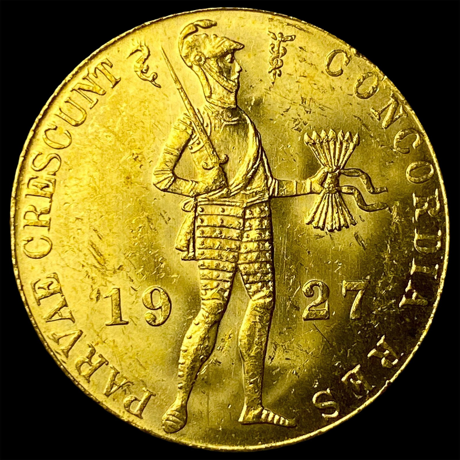 1927 Netherlands Gold 10 Ducat .1104oz UNCIRCULATED: 1927 Netherlands Gold 10 Ducat .1104oz UNCIRCULATED